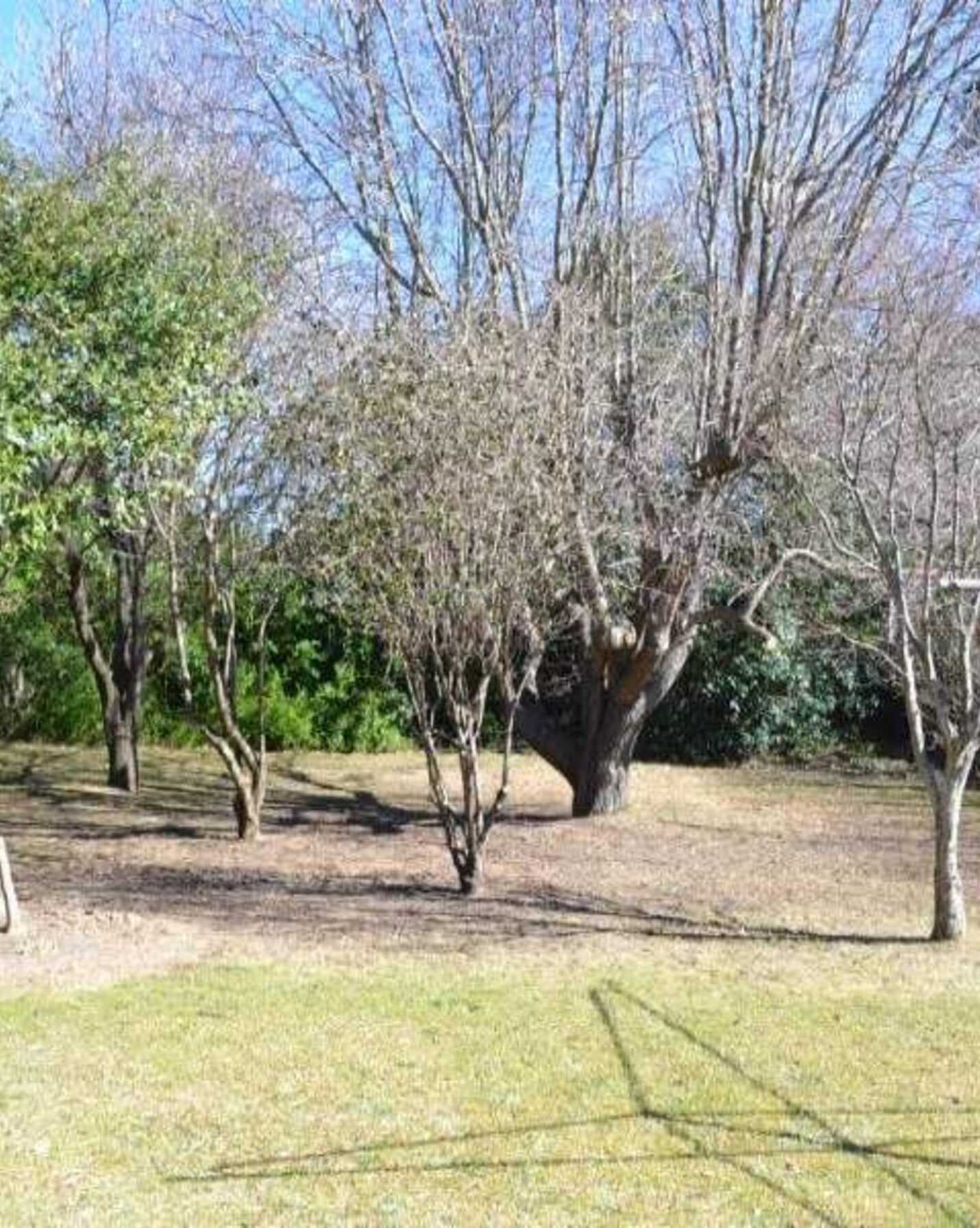 19 Purcell Street Bowral, Bowral - Thumbnail 2