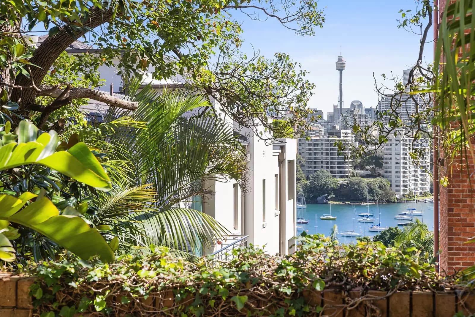 1/54 Darling Point Road, Darling Point, Darling Point - Thumbnail 4