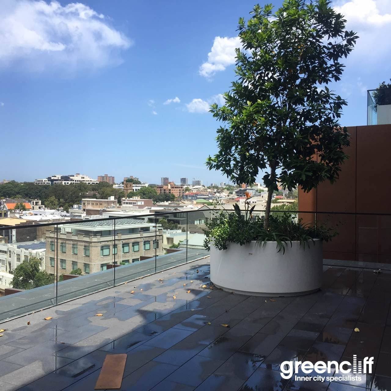 902, 8 Central Park Ave, Chippendale - Thumbnail 2