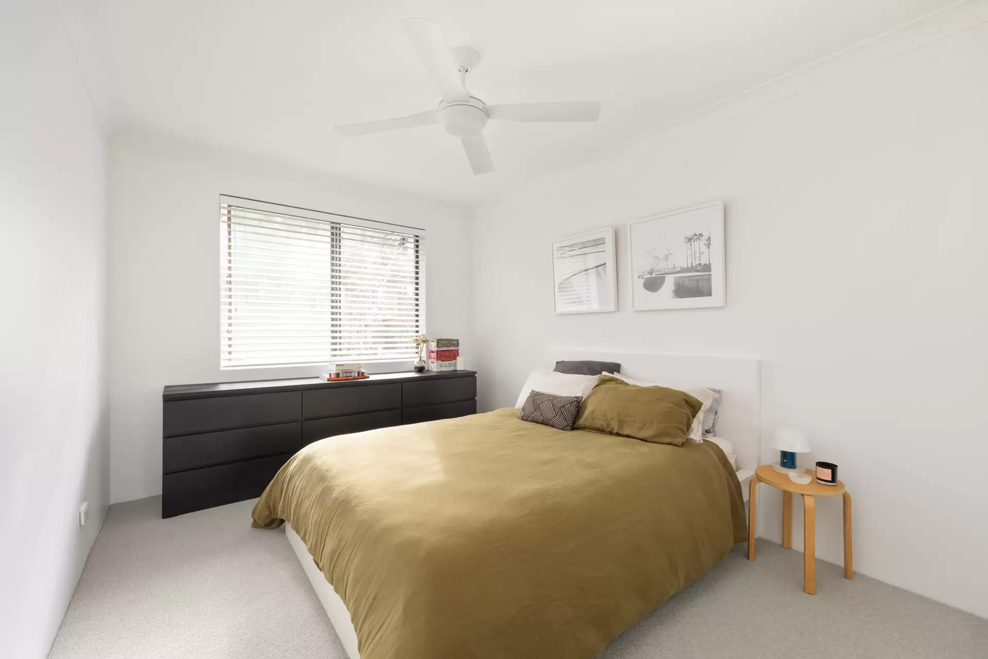8/49 Albion Street, Waverley, Chelmer - Thumbnail 5