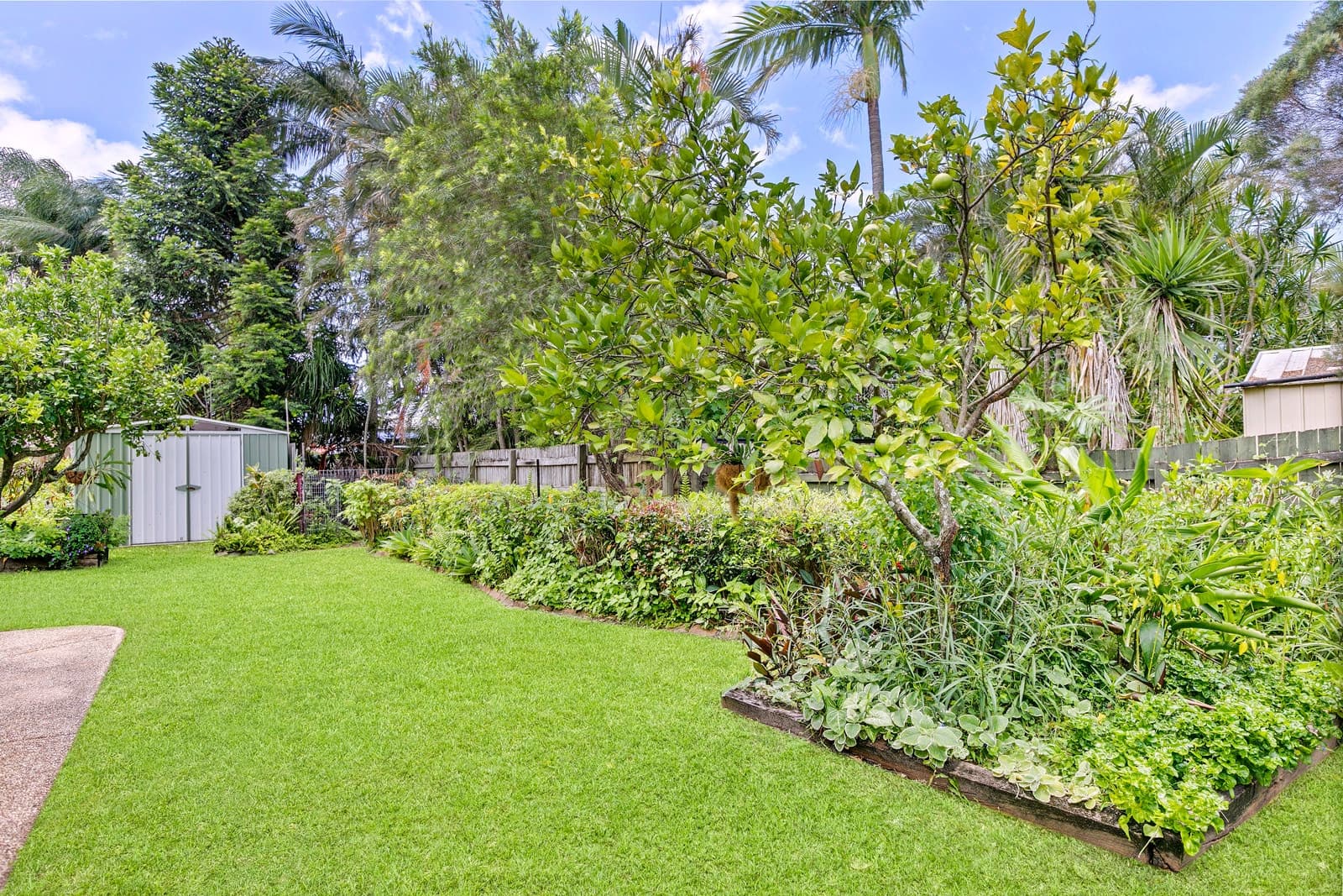 4 Liffy Court, Maroochydore QLD 4558, Maroochydore - Thumbnail 8