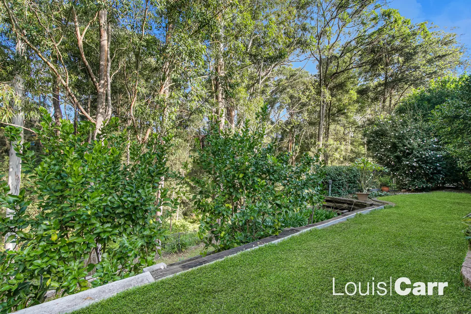 11 Elabana Crescent Castle Hill, Kuranda, - Thumbnail 6