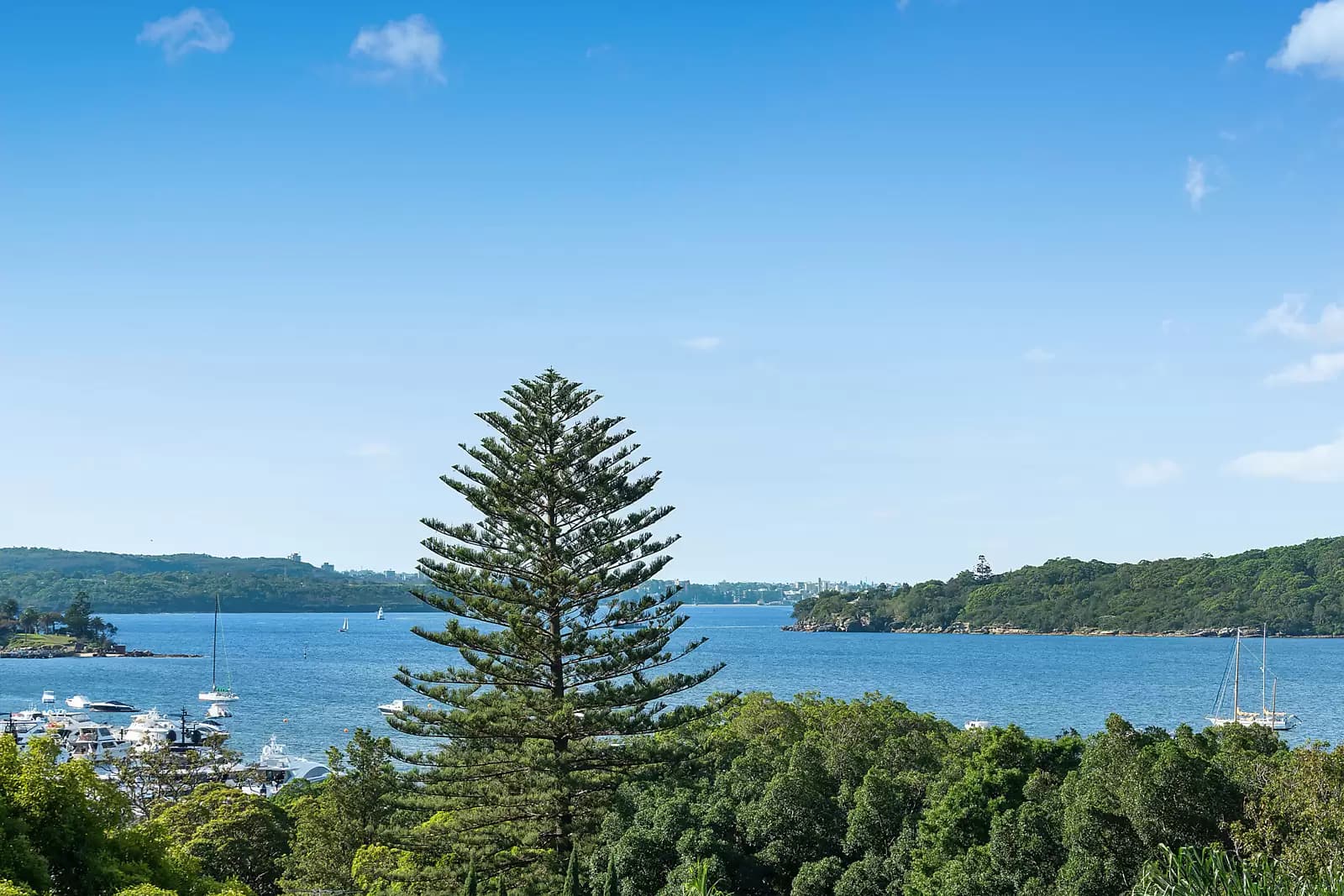 35 Kendall Street, Oxley - Thumbnail 3