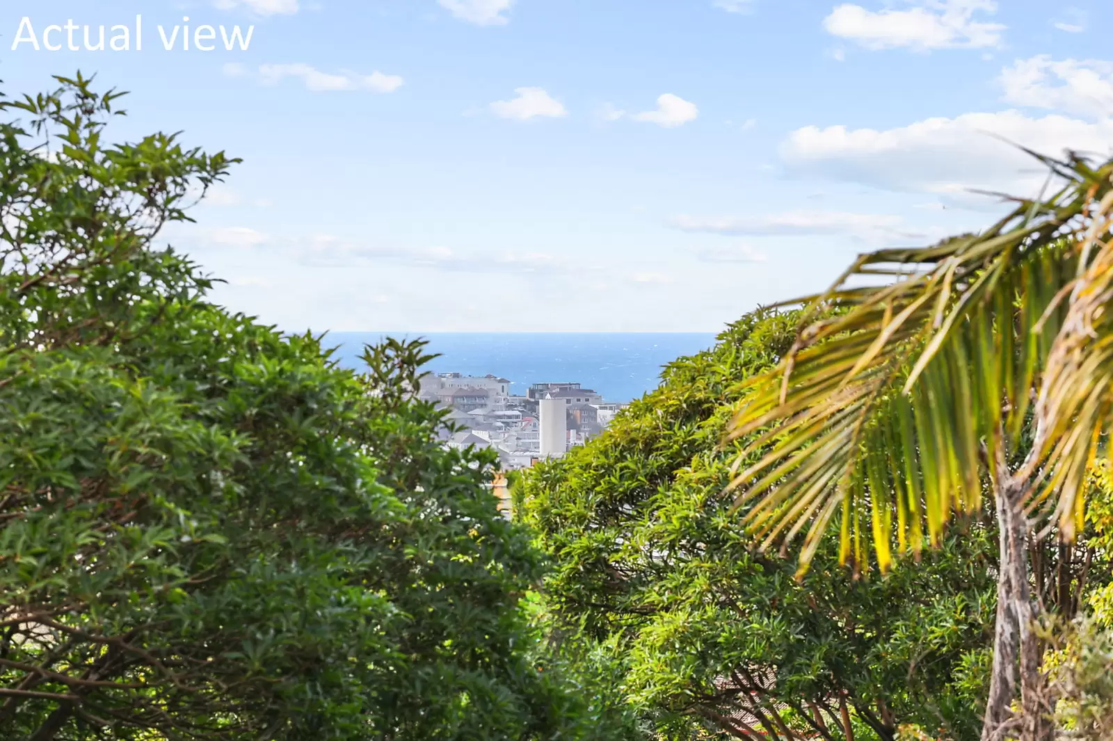 12/2 Penkivil Street, Bondi, Durack - Thumbnail 5