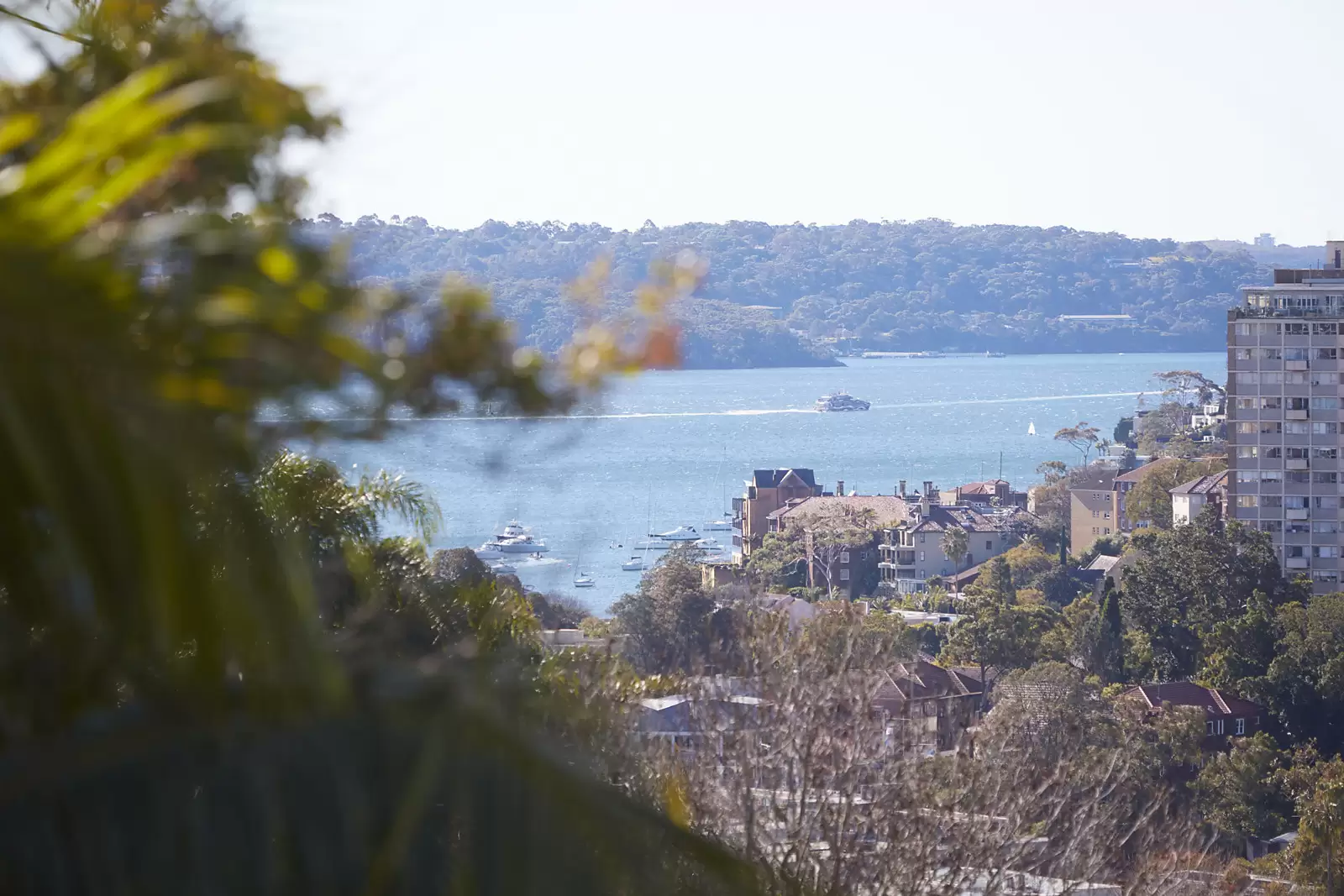 3/313 Edgecliff Road, Woollahra, Pullenvale - Thumbnail 5