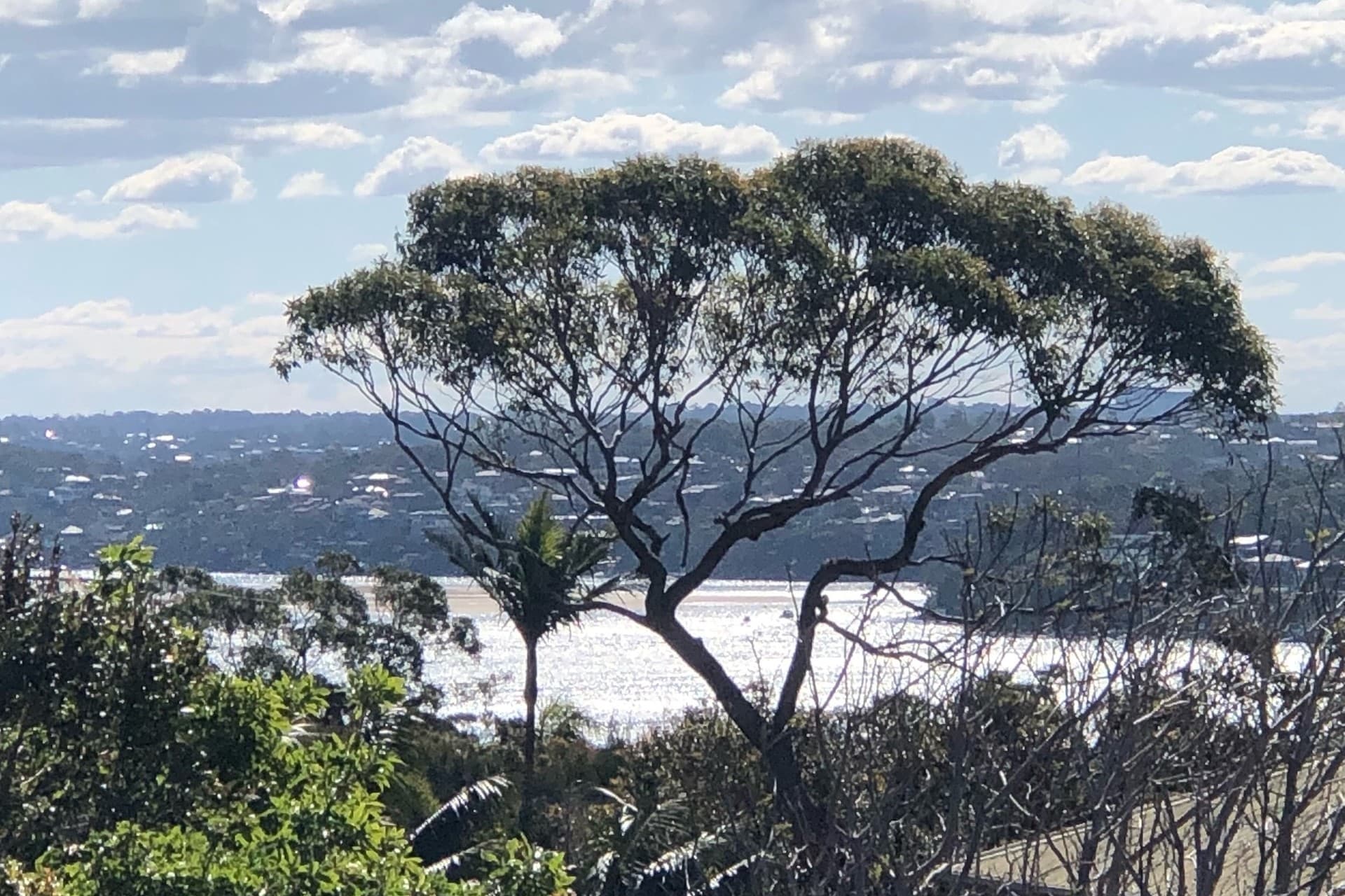 2/23 Marcel Avenue, Randwick, Werribee - Thumbnail 5
