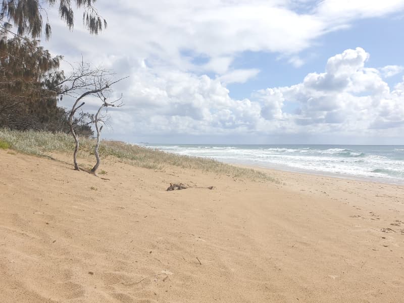3/19 Ngungun St, Dicky Beach - Thumbnail 8