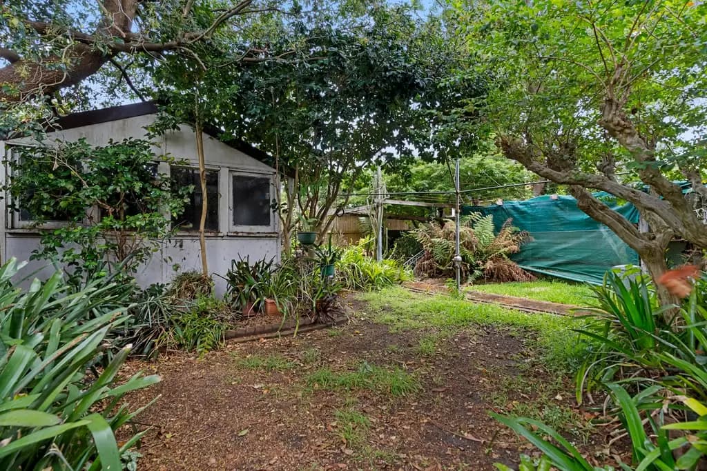 1 Barclay Street, Waverley, Waverley - Thumbnail 5