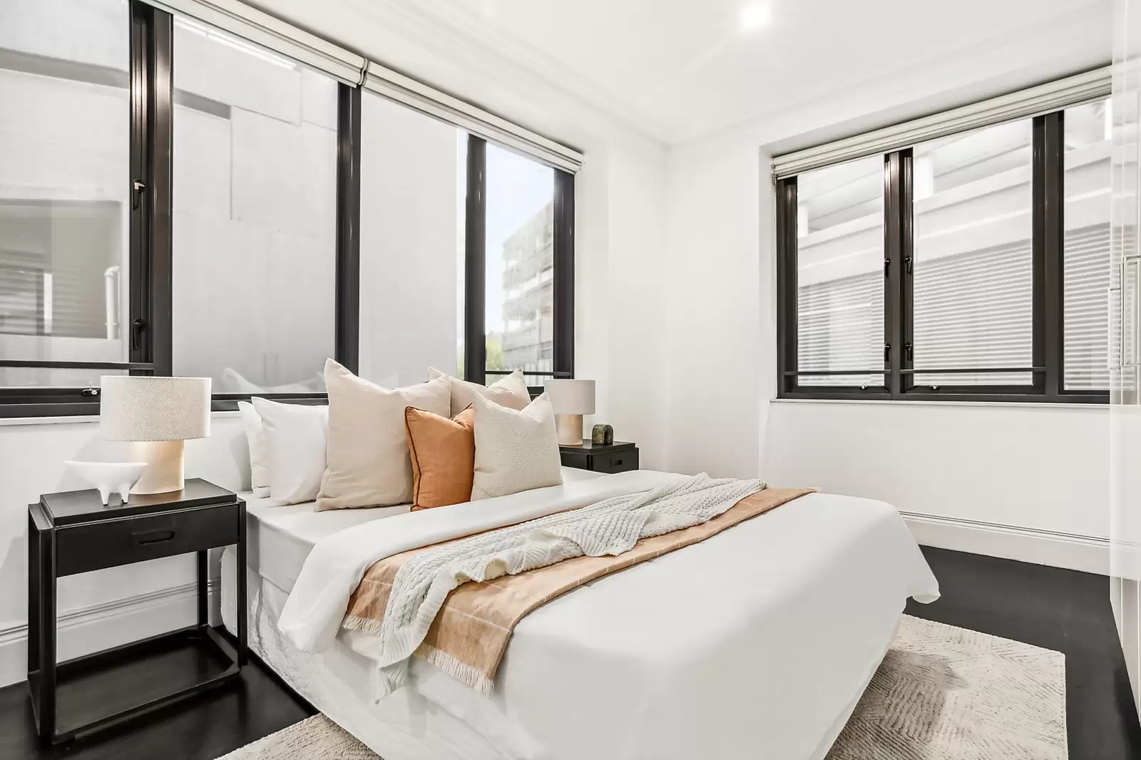 207/13-15 Bayswater Road, Potts Point, Canterbury - Thumbnail 4