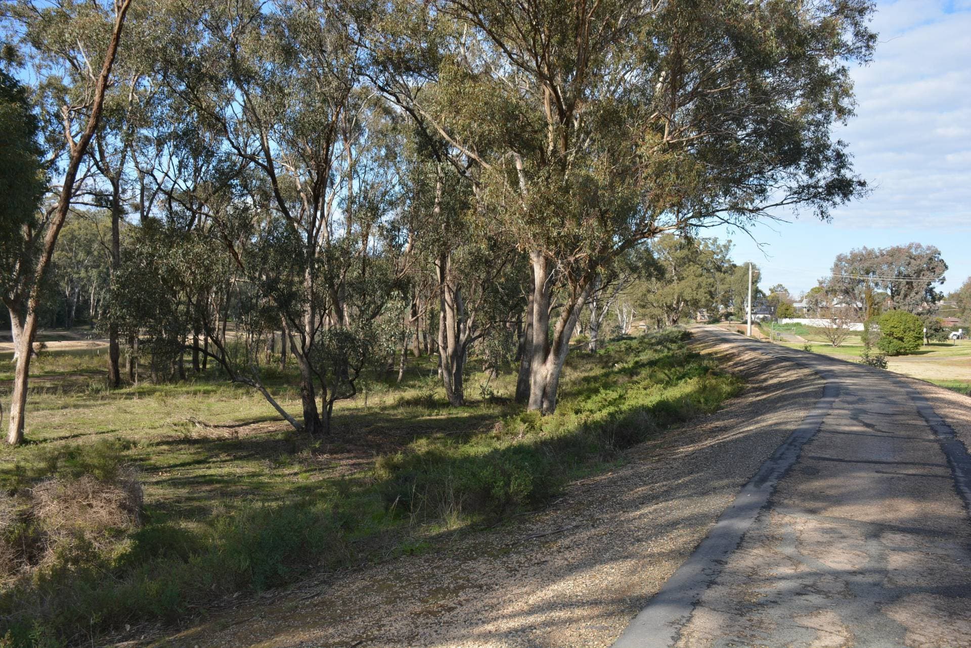 1/137 Blair Street, North Bondi, Cobram - Thumbnail 4
