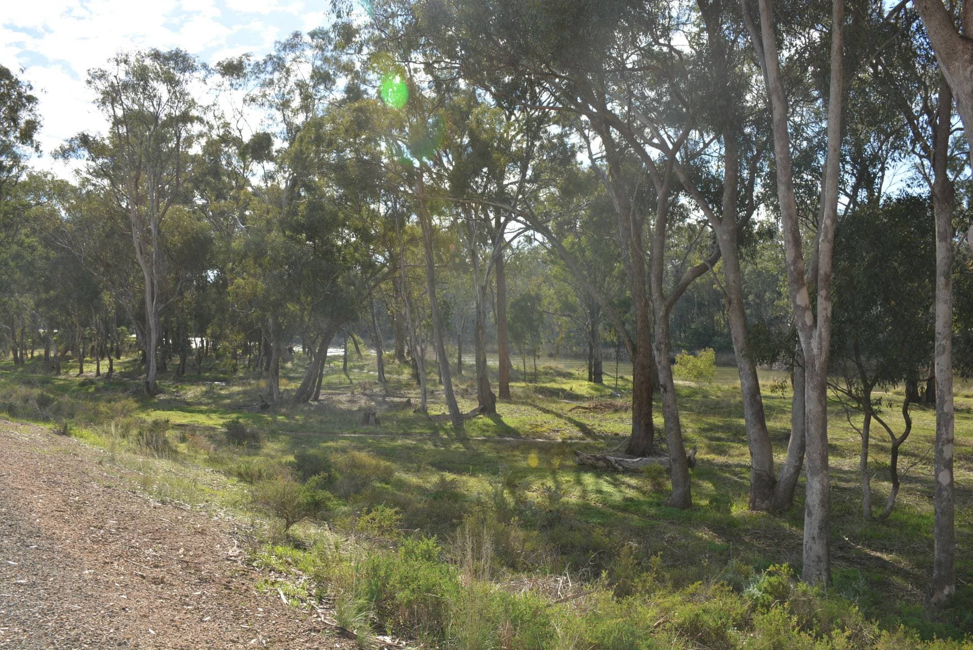 1/137 Blair Street, North Bondi, Cobram - Thumbnail 5