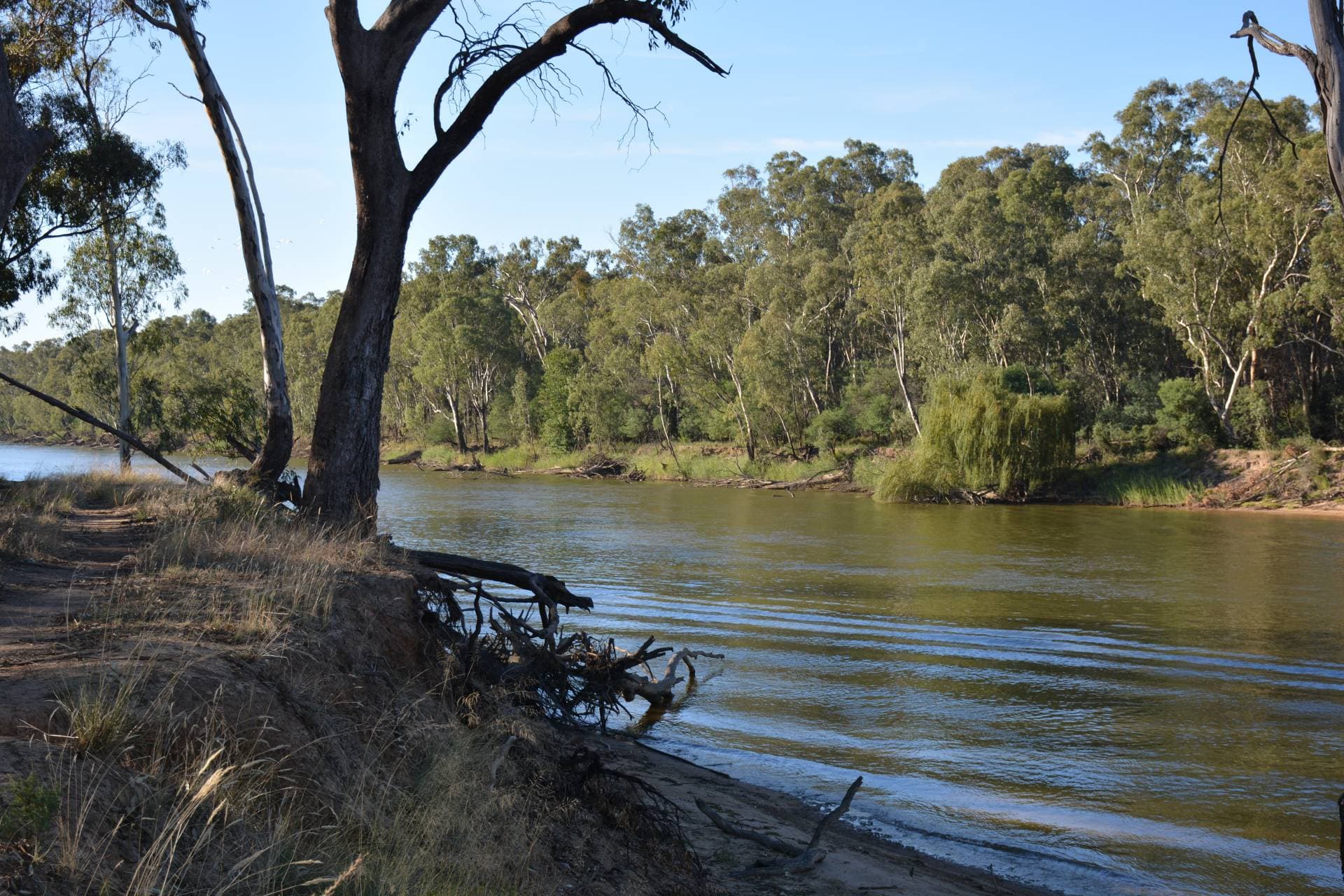 1/137 Blair Street, North Bondi, Cobram - Thumbnail 6