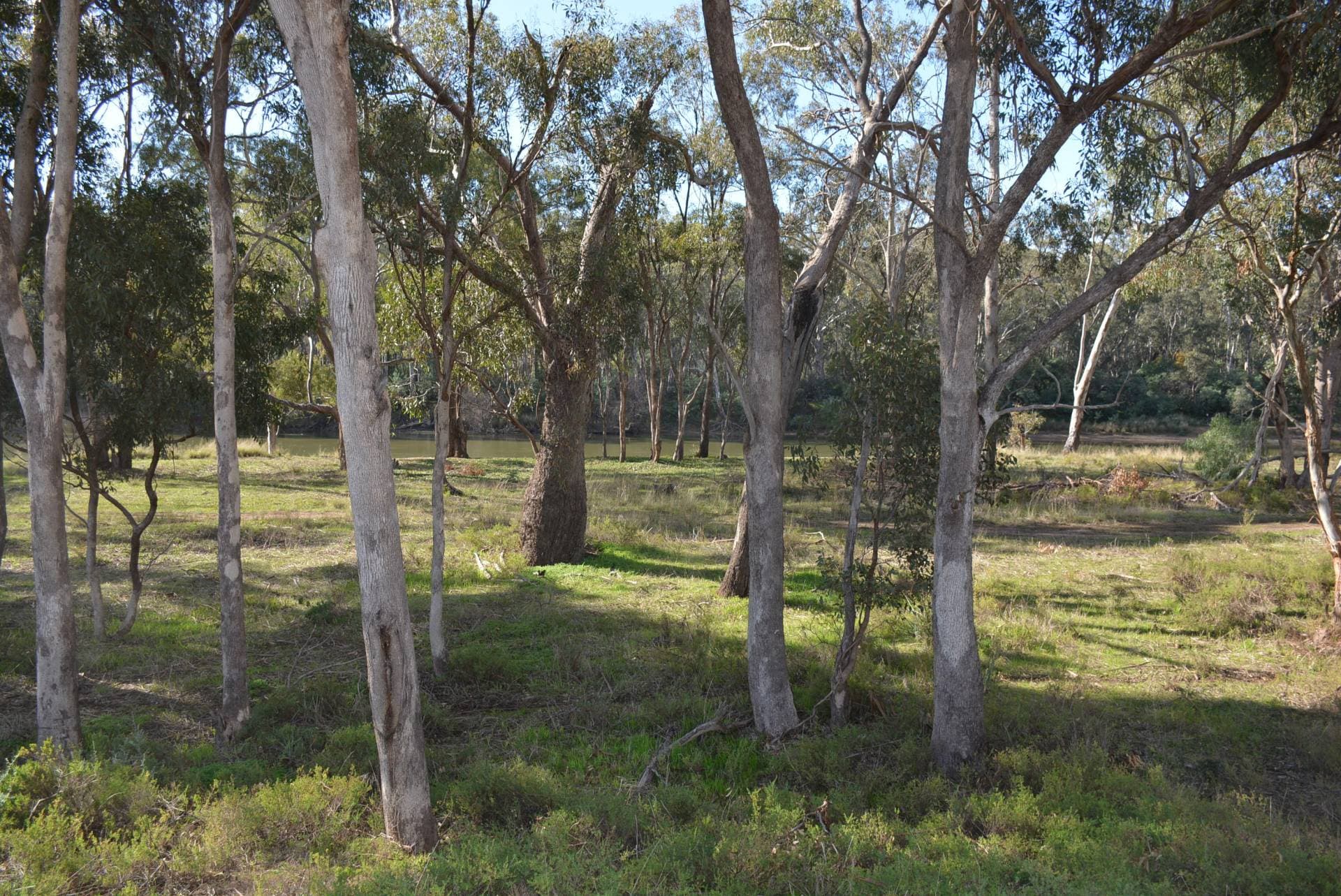 1/137 Blair Street, North Bondi, Cobram - Thumbnail 7