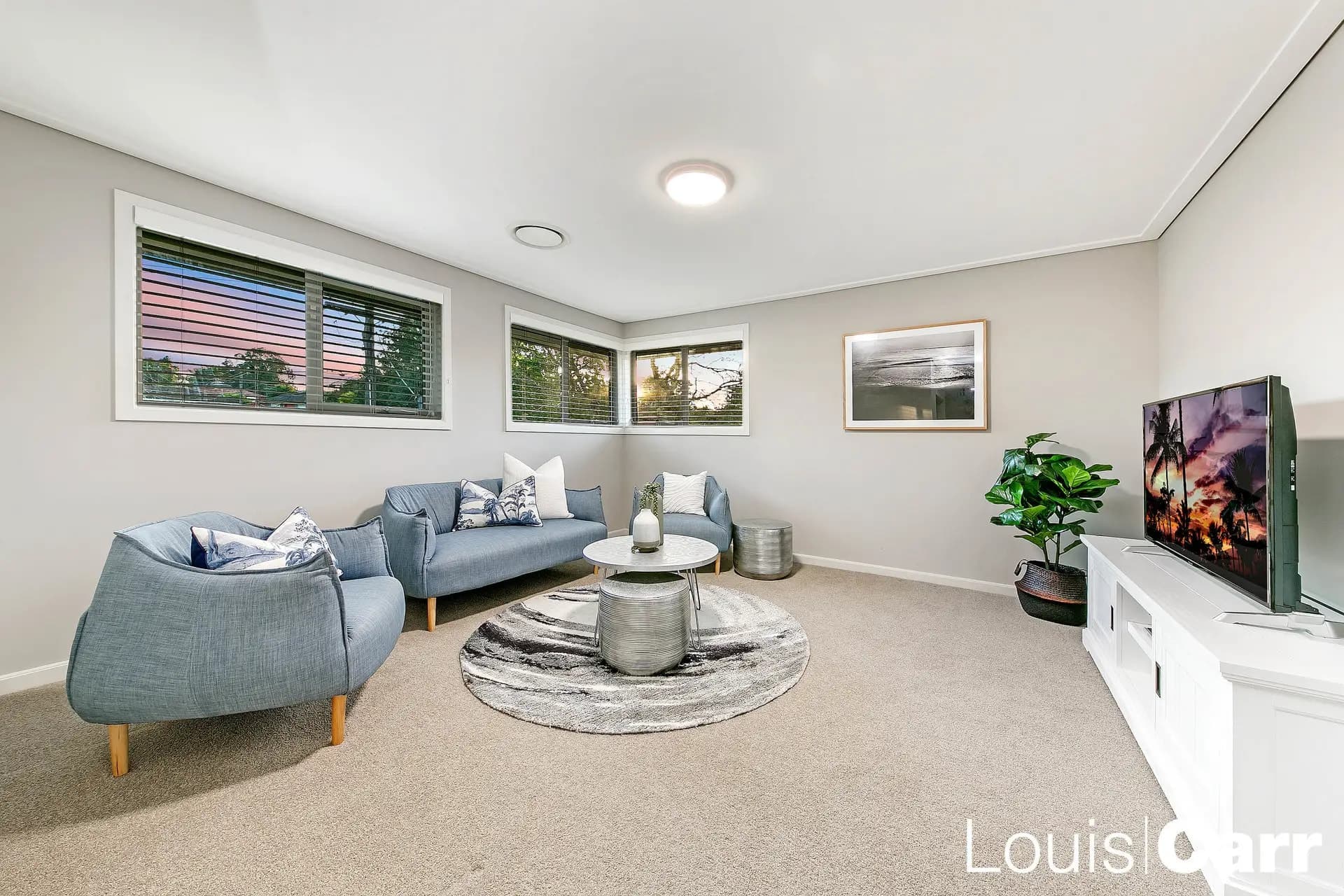 16 Rydal Avenue Castle Hill, Georges Hall - Thumbnail 8