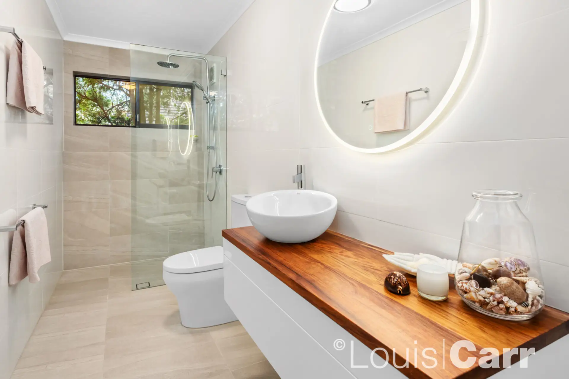 19 Gunnamara St, Barooga - Thumbnail 4