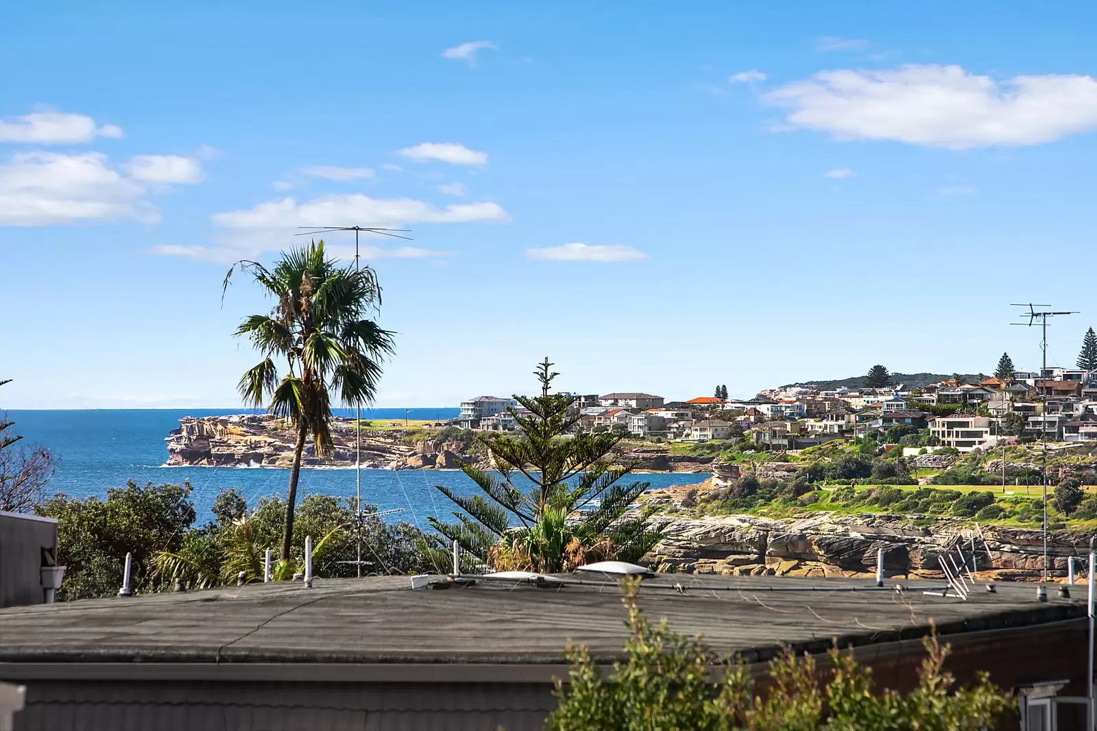 11/12 Francis Street, Bondi Beach, Kenmore - Thumbnail 4
