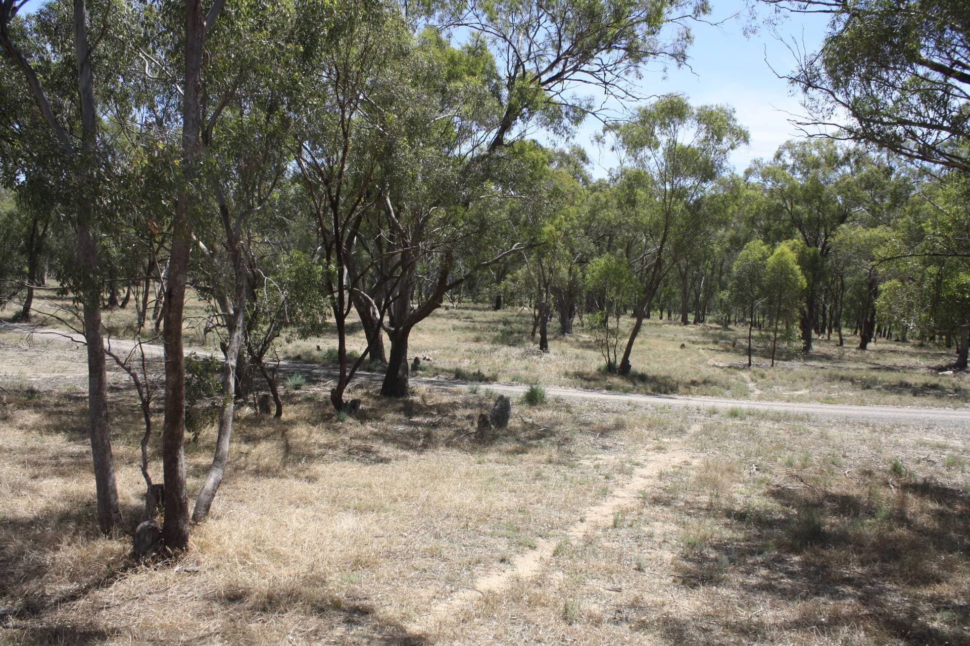 2 / 109 Mt Keira Road, West Wollongong, Cobram - Thumbnail 6
