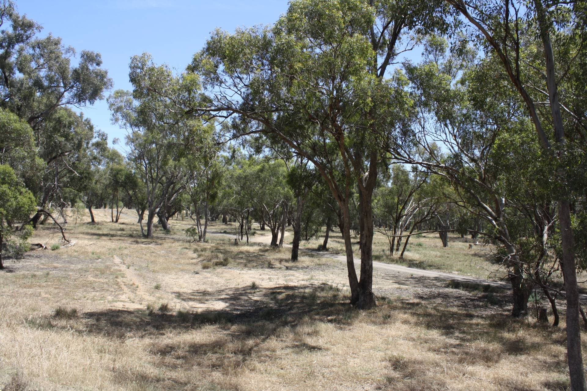 2 / 109 Mt Keira Road, West Wollongong, Cobram - Thumbnail 7