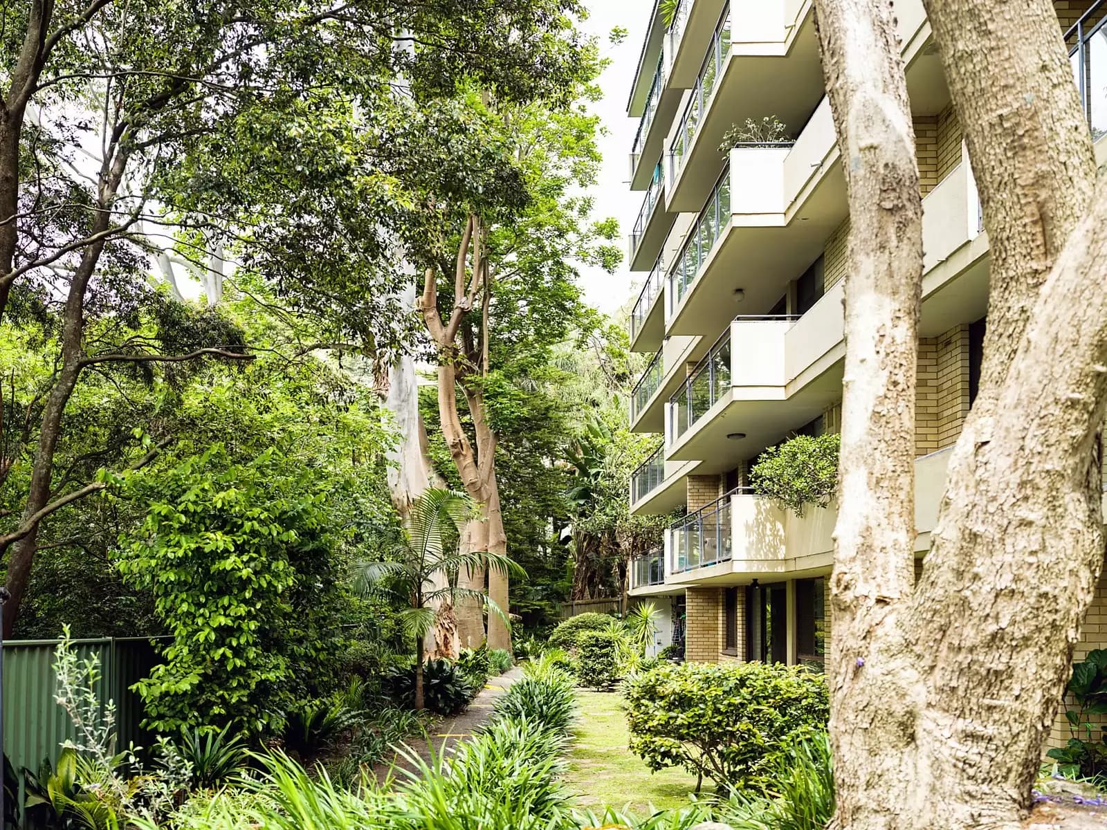 3/297-297A Edgecliff Road, Woollahra, Kariong - Thumbnail 7