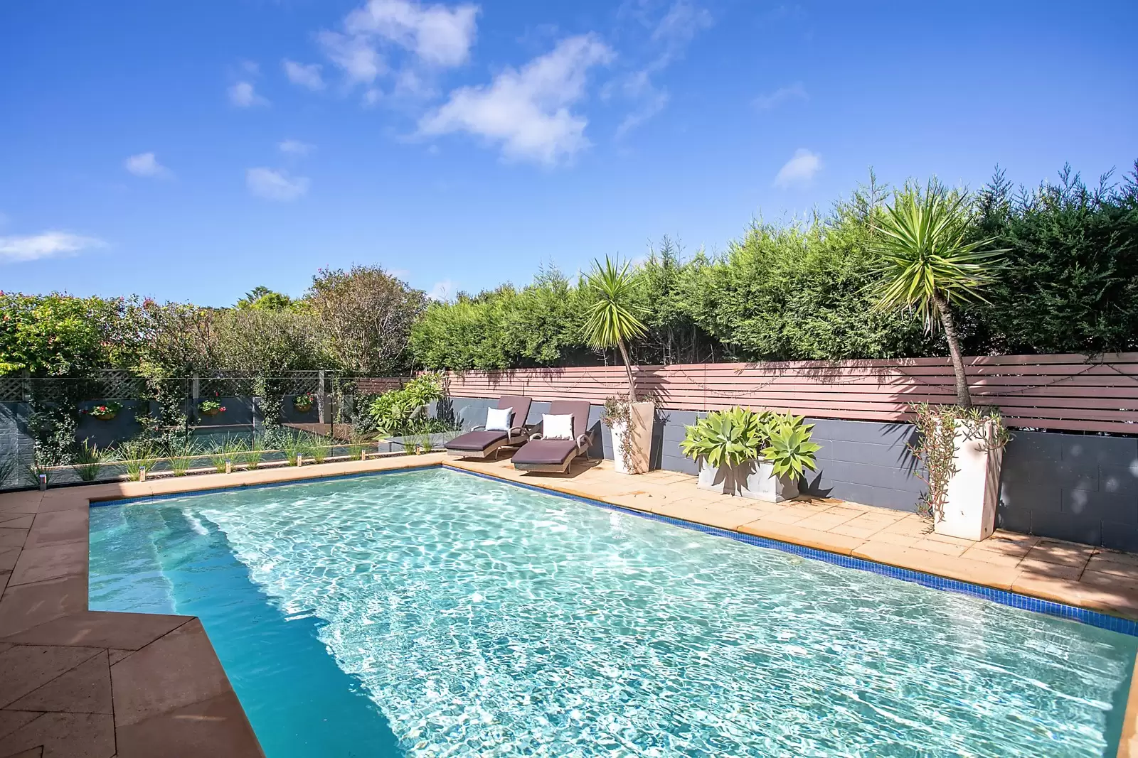 11 Ardell Street, Kenmore - Thumbnail 7