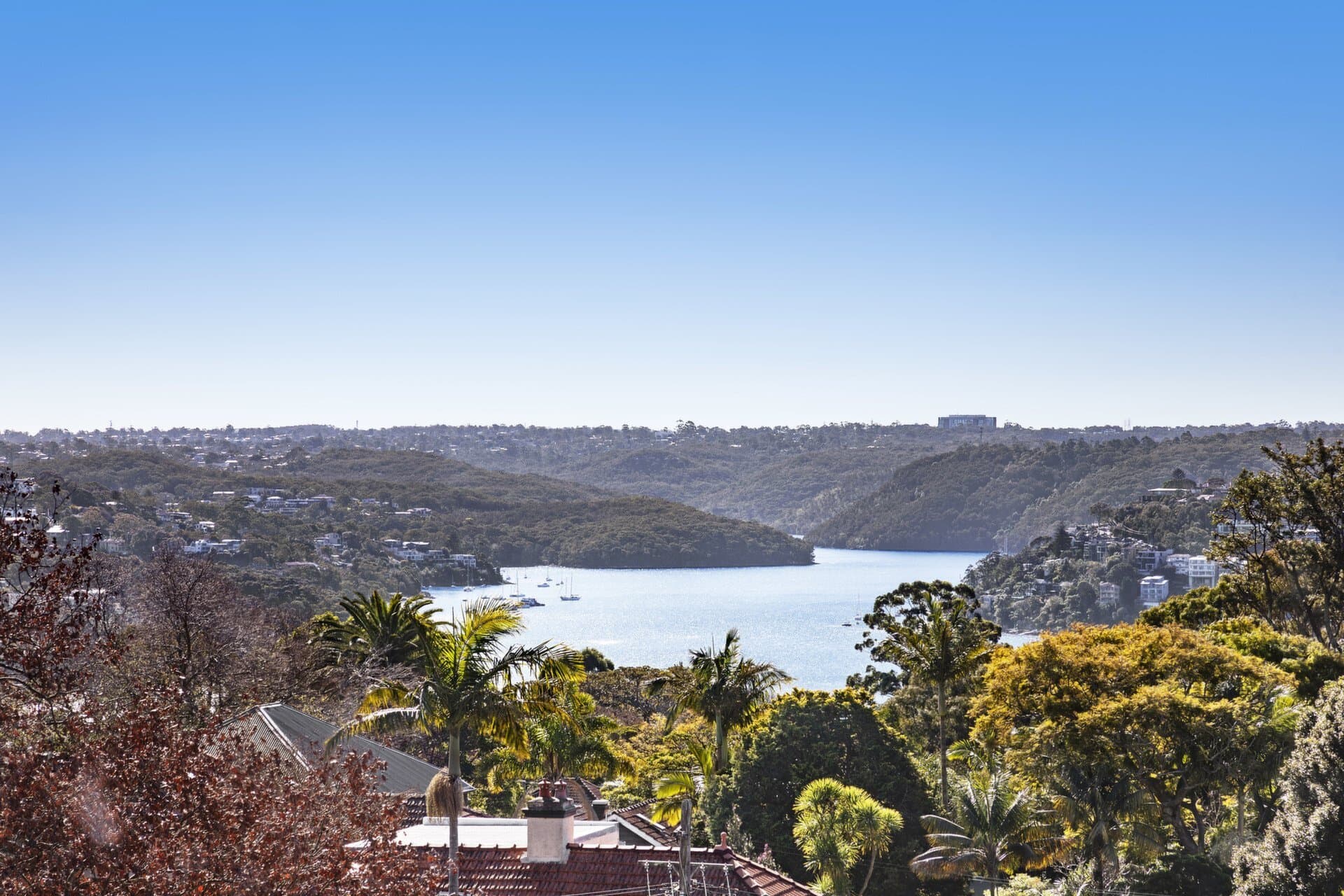 19/560 Military Road, Concord - Image 1