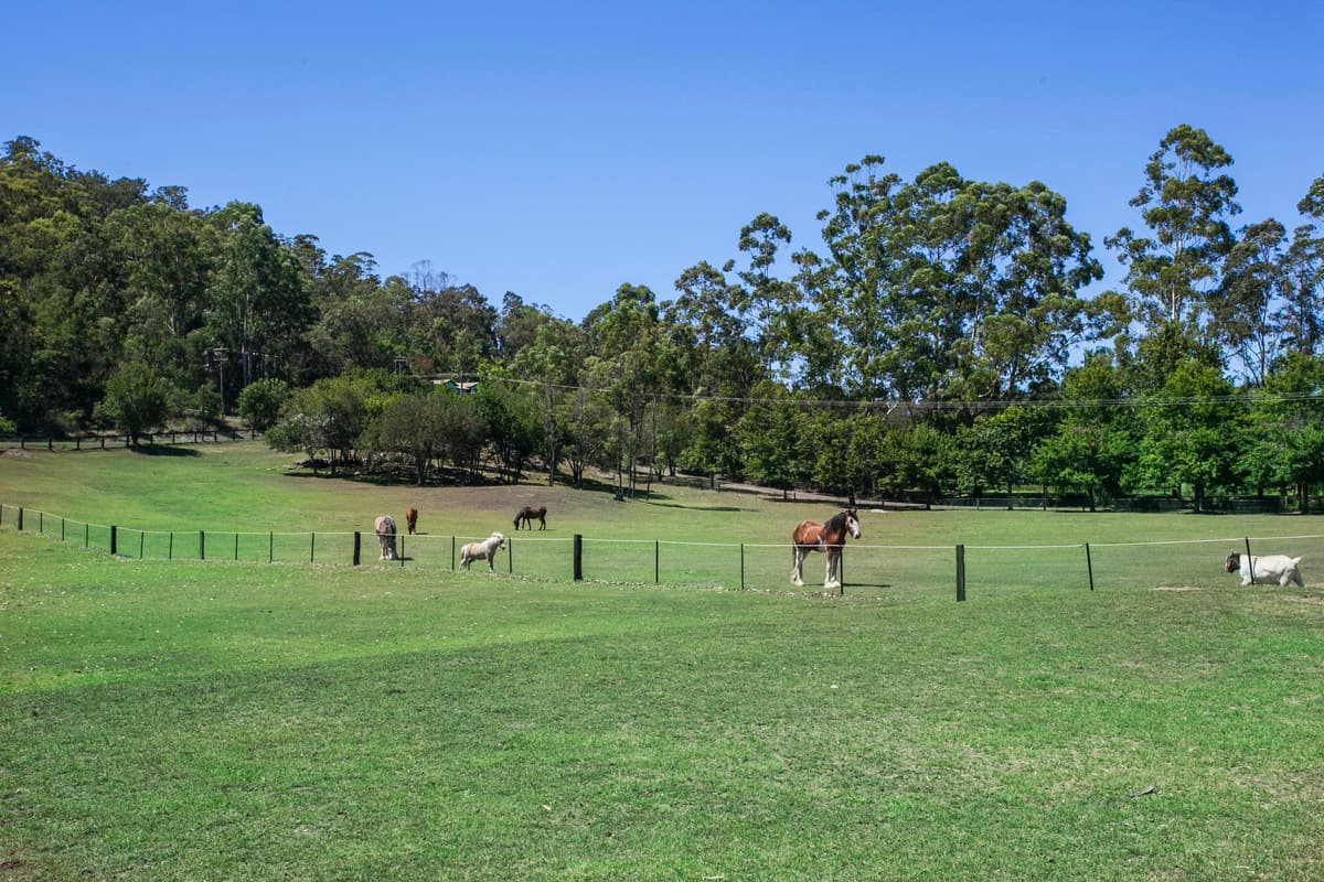 Unit 213, 1 Rainbow Beach Road, Rainbow Beach, Lower Portland - Thumbnail 2