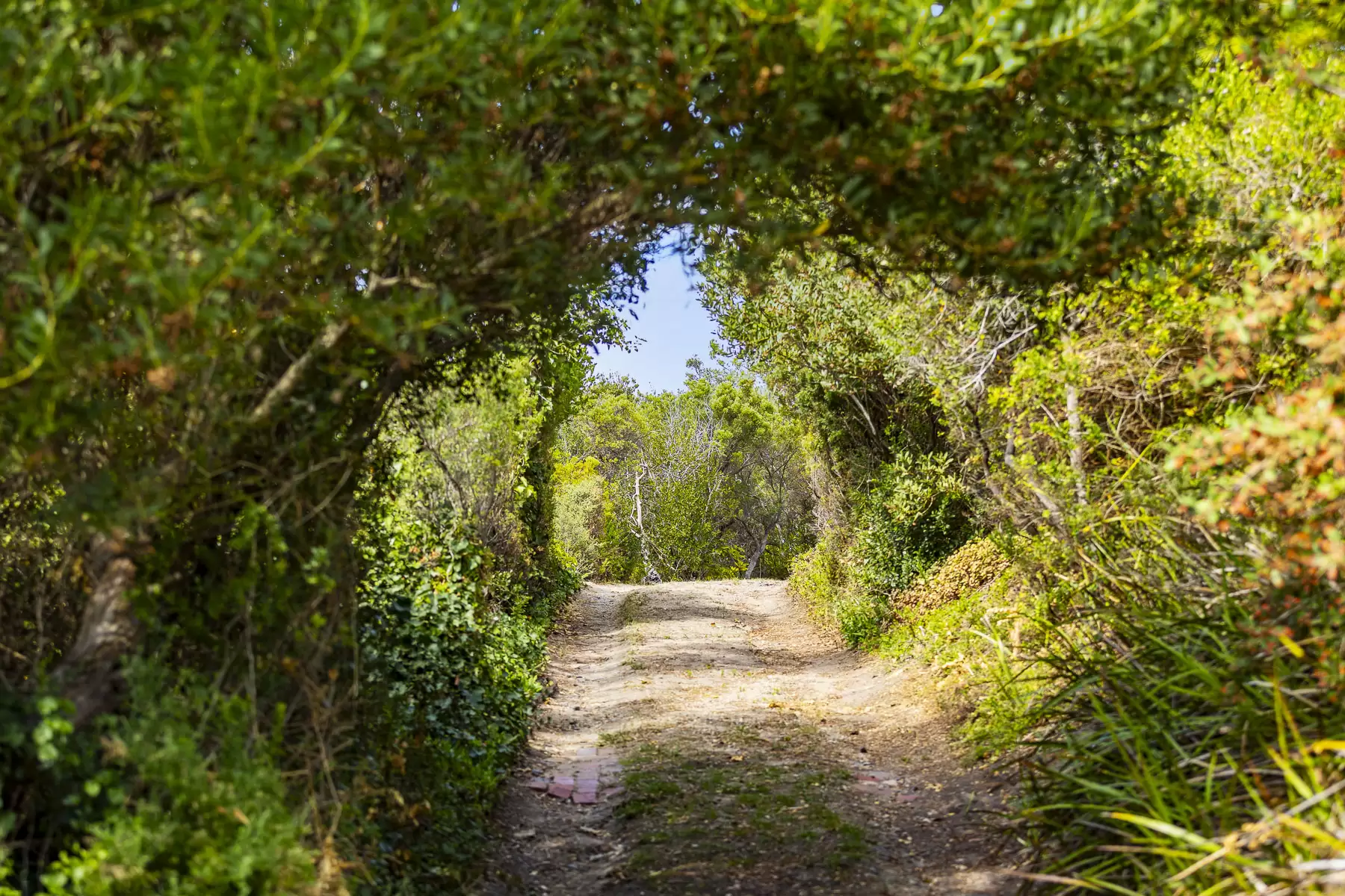 6/106 Dudley Street, Ryde - Thumbnail 5