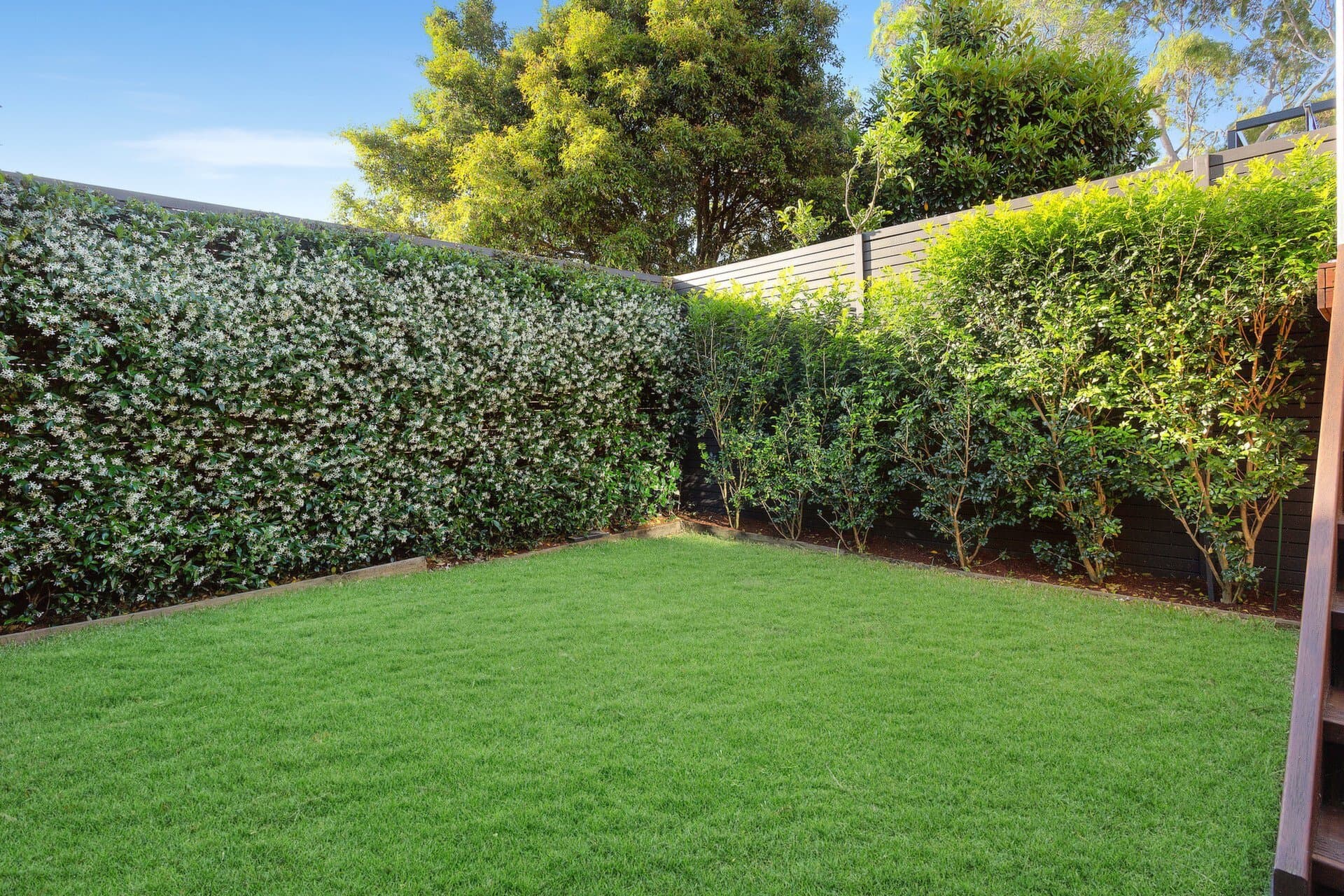 44 Bond Street, Mosman, Korora - Thumbnail 6
