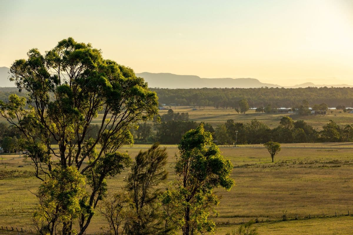 880D Elderslie Road, Elderslie, Elderslie - Image 1
