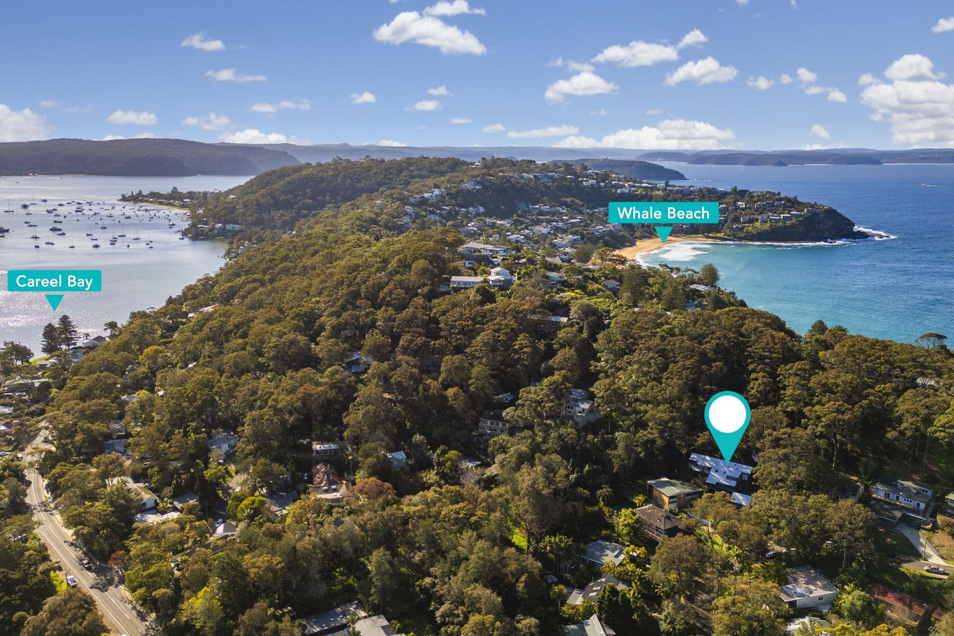 51 Dolphin Crescent, Avalon Beach, Avalon Beach - Thumbnail 5