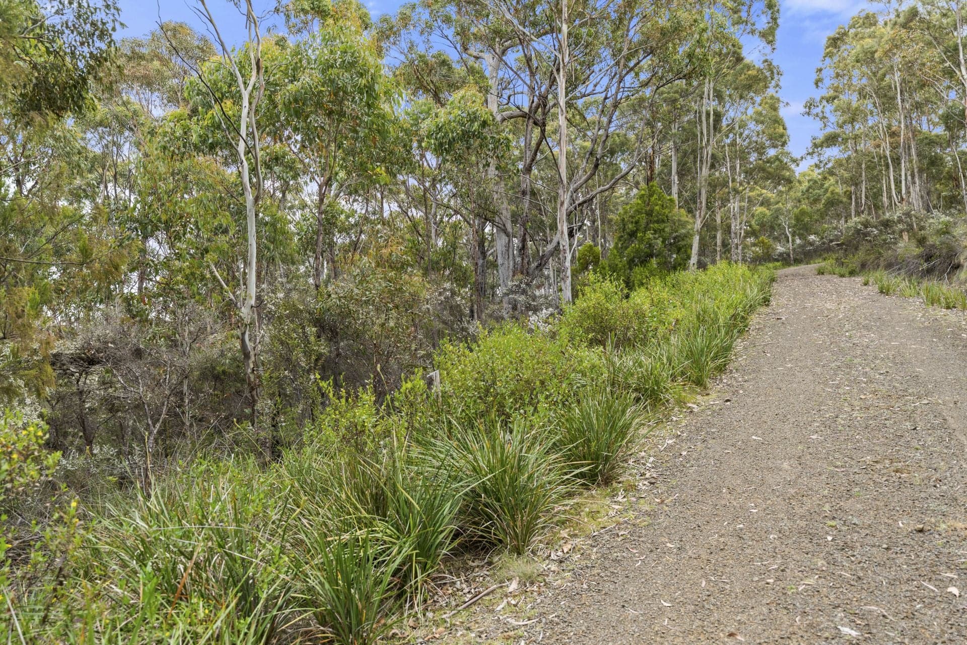 5286 Channel Highway, Gordon, Gordon - Thumbnail 7