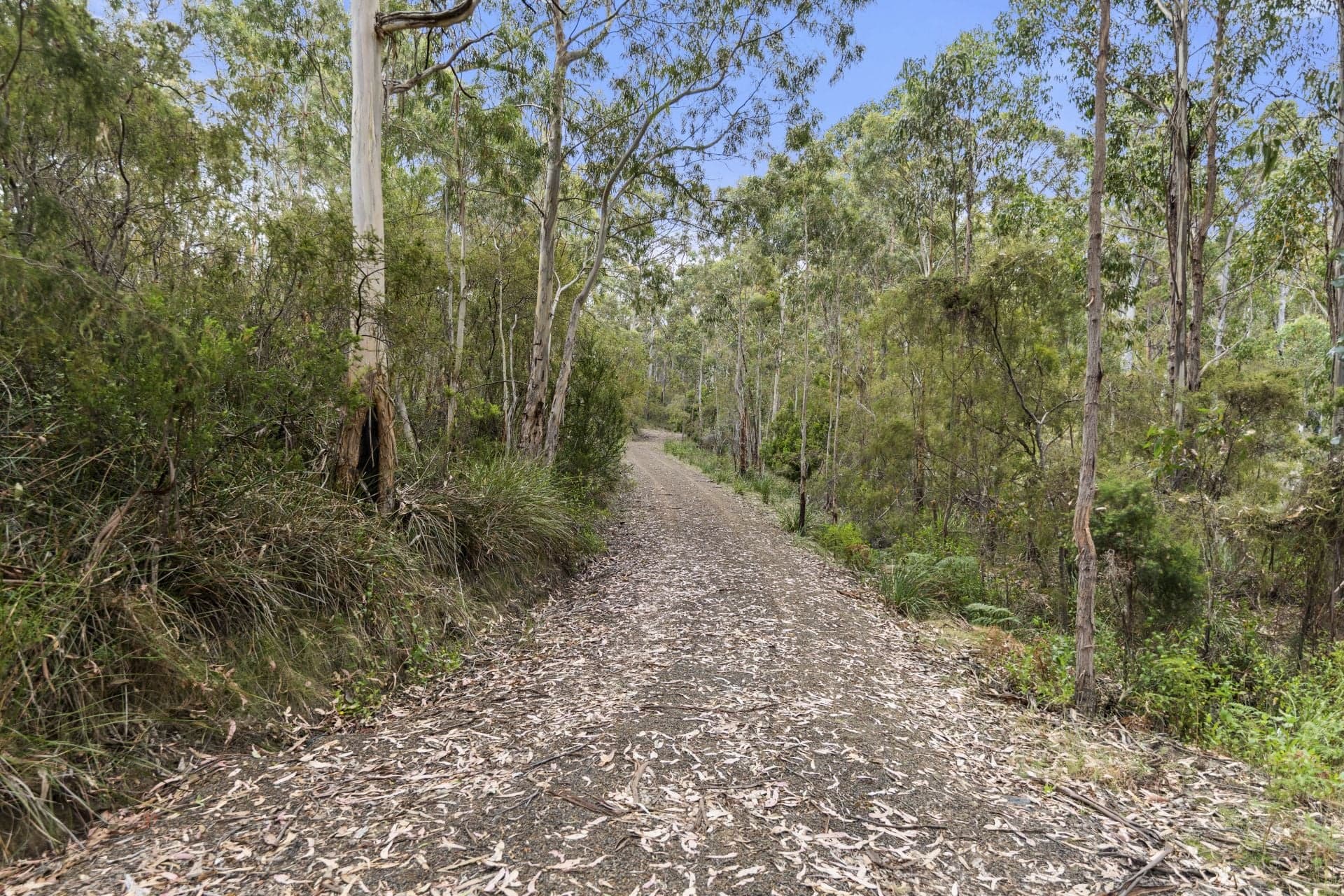 5286 Channel Highway, Gordon, Gordon - Thumbnail 8