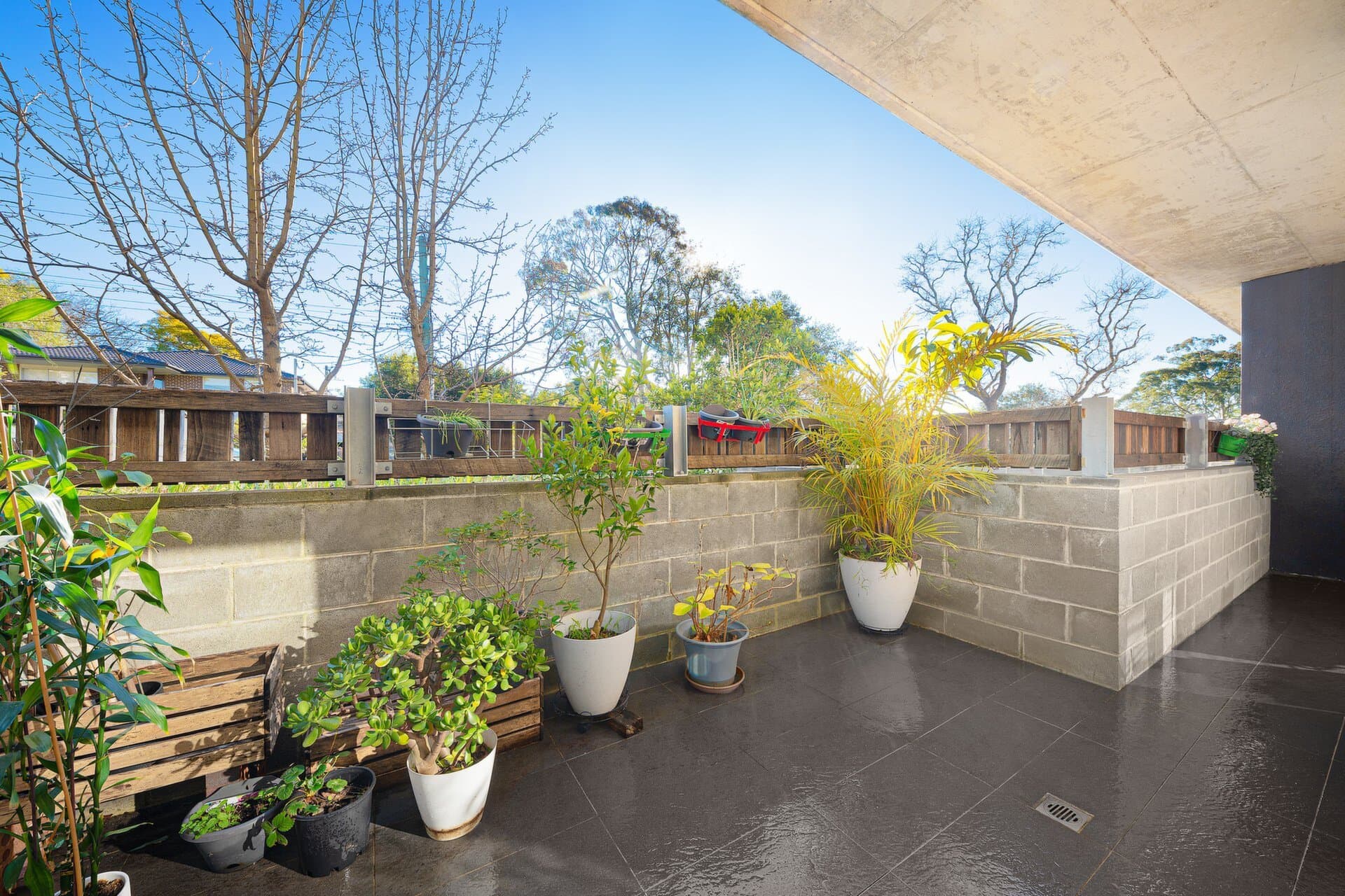 1/14 Bouvardia Street, Ryde - Thumbnail 3