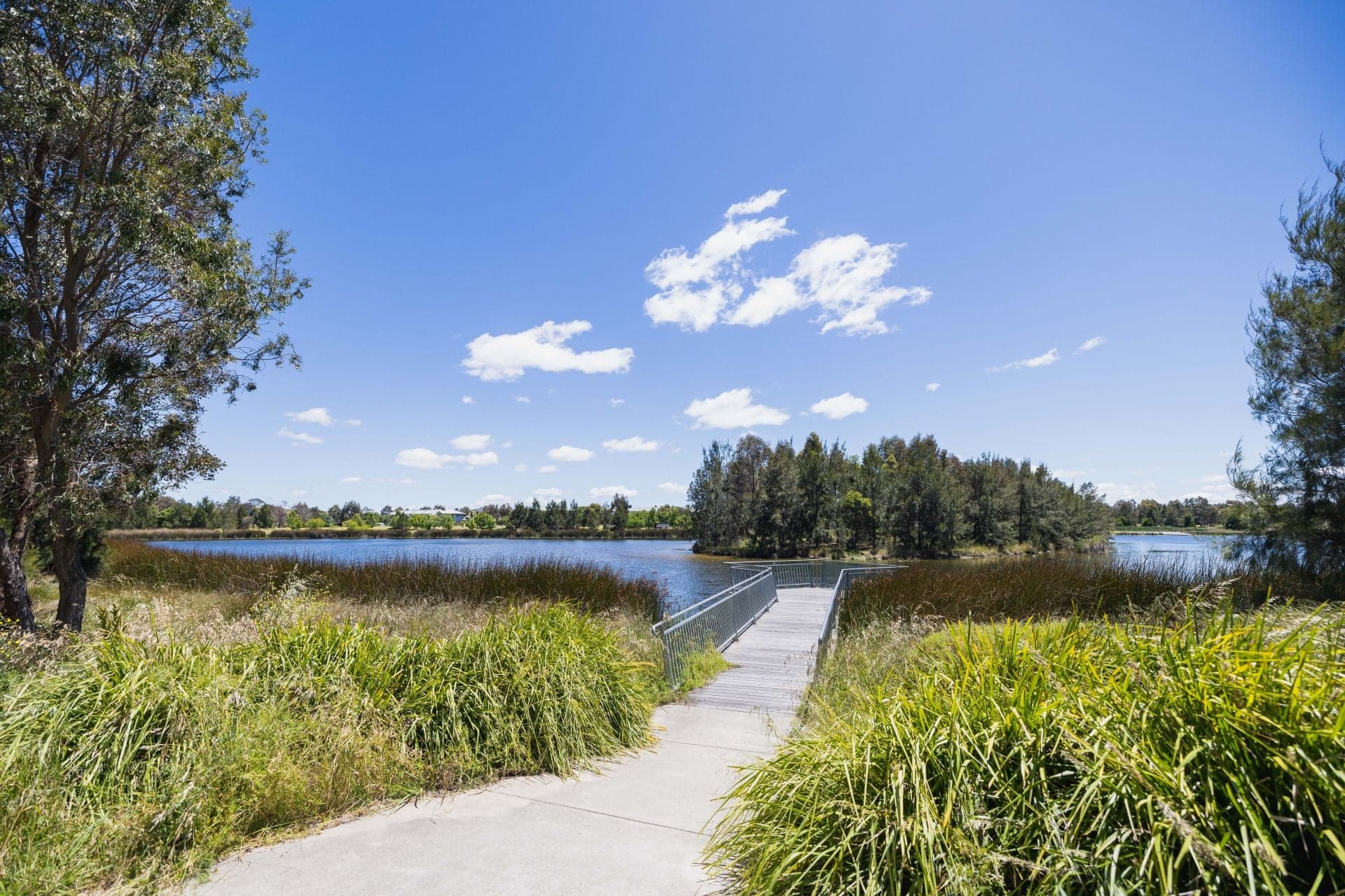 8 Hesba Brinsmead Street, Franklin, Franklin - Thumbnail 2