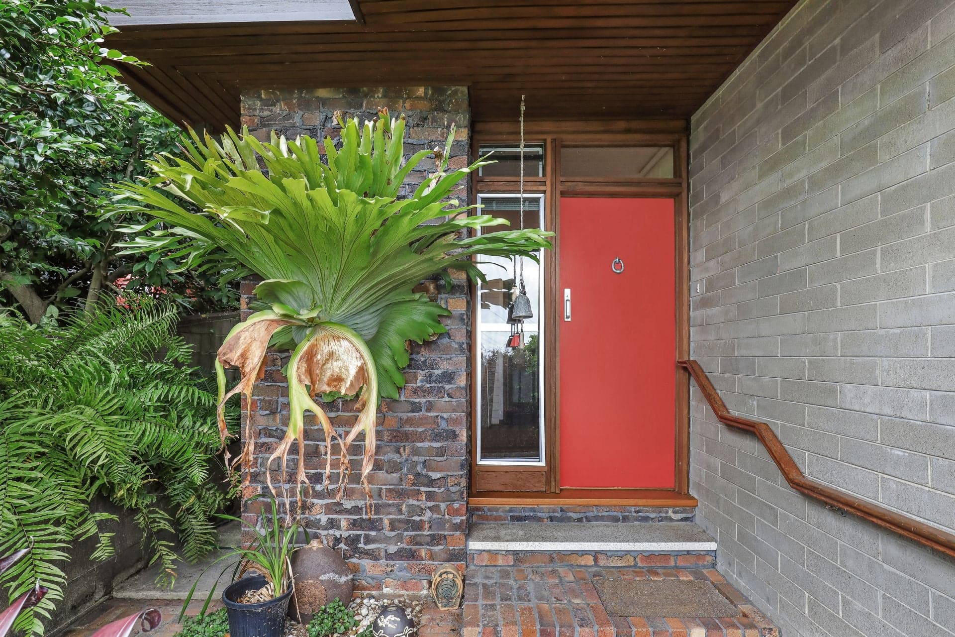 44 Rose Parade, Mount Pleasant, Mount Pleasant - Thumbnail 5