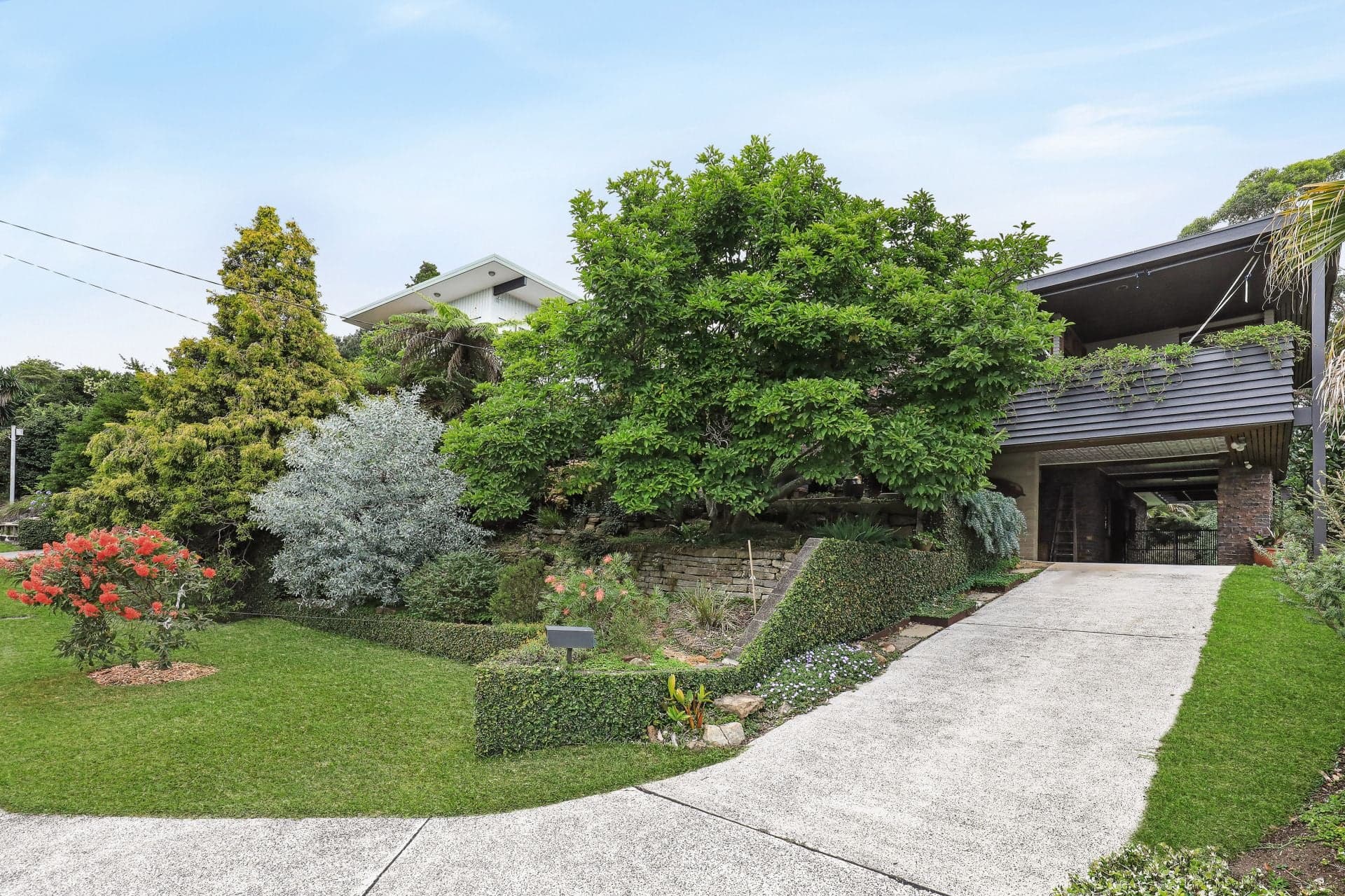44 Rose Parade, Mount Pleasant, Mount Pleasant - Thumbnail 6