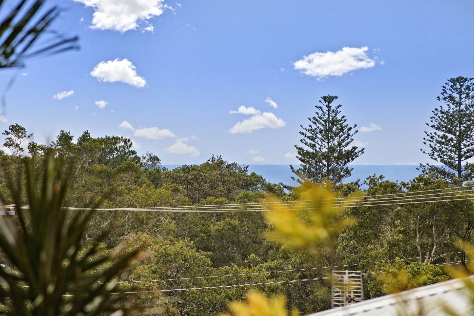 2/13 Willow Place, Port Macquarie, Port Macquarie - Thumbnail 6