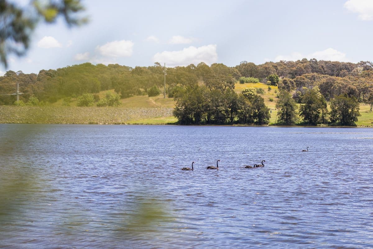 34 Rosella Street, Nicholls, Nicholls - Thumbnail 2