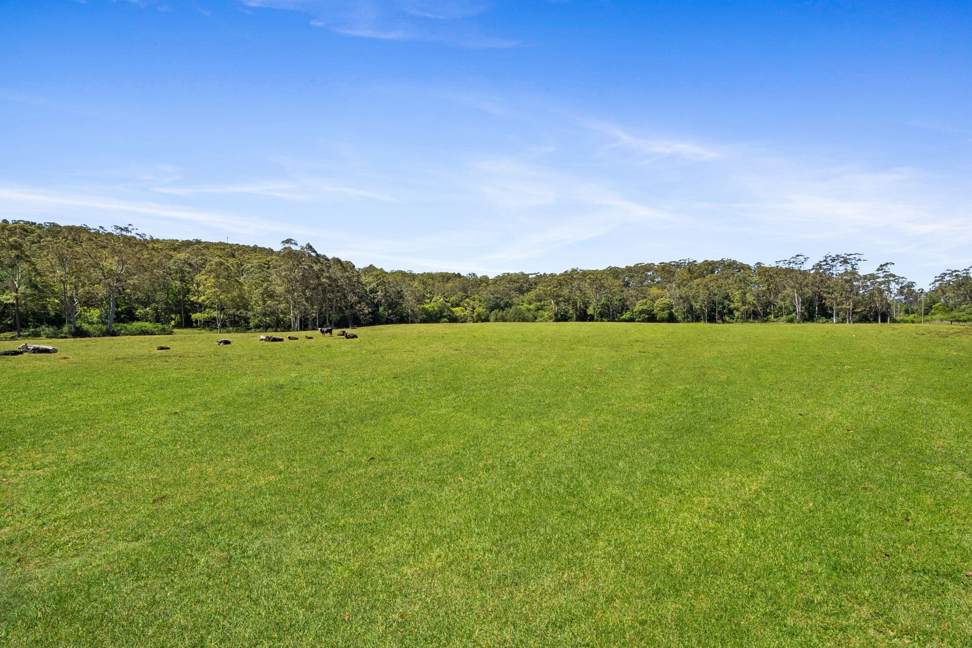 37 Chittaway Road, Kangy Angy, Kangy Angy - Thumbnail 7