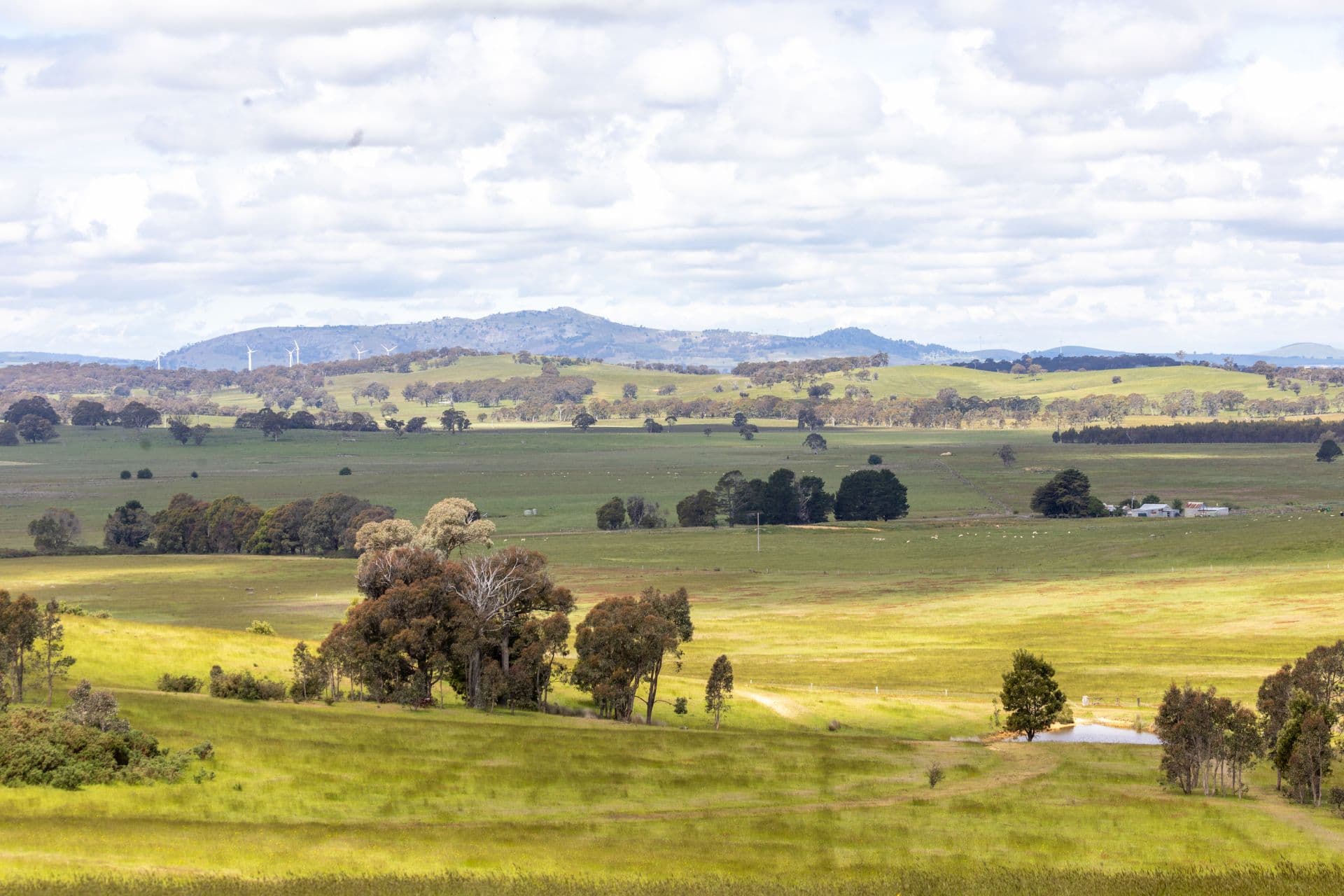 749 Beaufort Lexton Road, Waterloo, Waterloo - Image 1