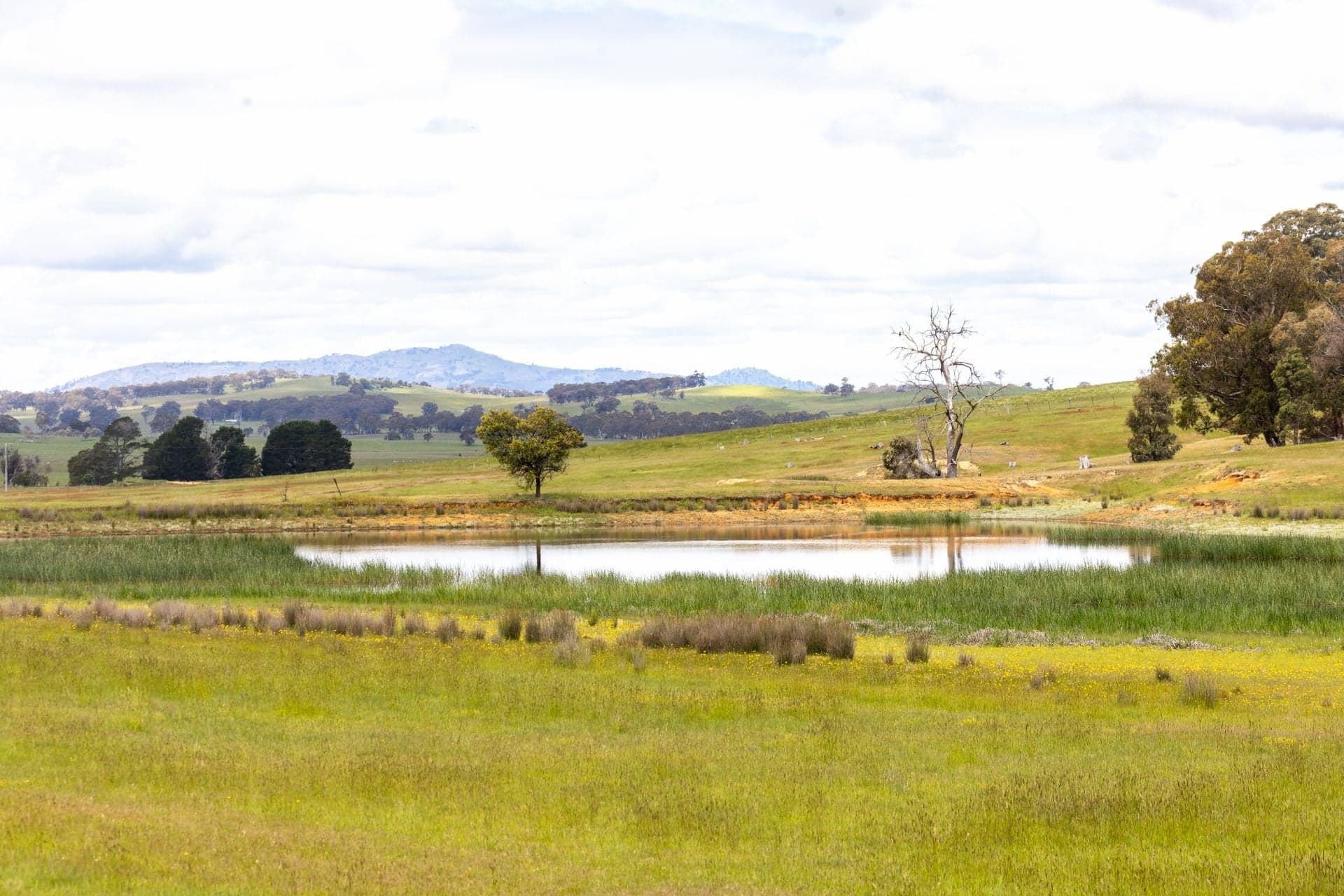 749 Beaufort Lexton Road, Waterloo, Waterloo - Thumbnail 2