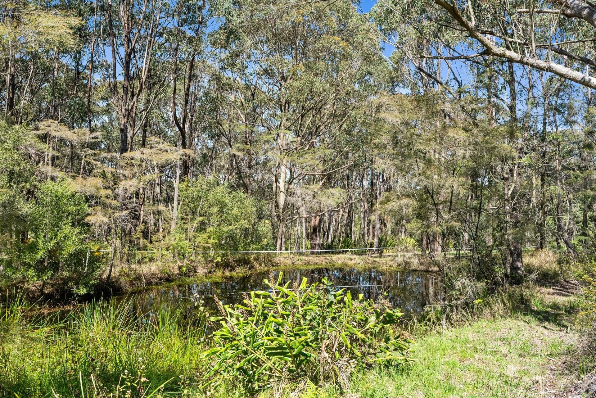 241 Williams Road, Kulnura NSW, Kulnura - Thumbnail 2