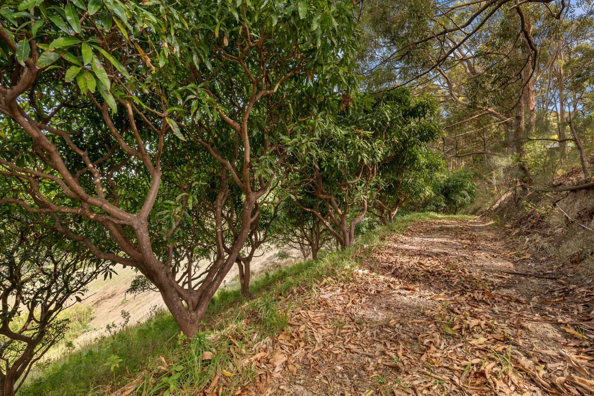 23 Jordans Way, Korora, Korora - Thumbnail 8