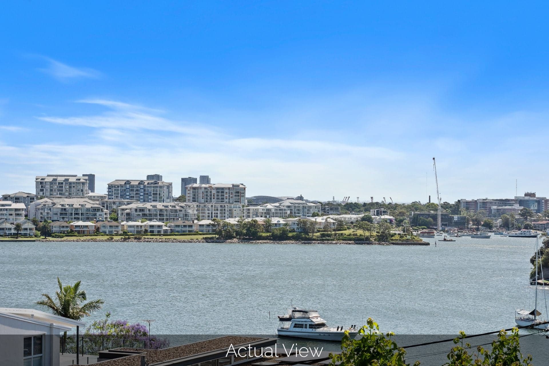 48 Amiens Street, Gladesville NSW, Gladesville - Thumbnail 6