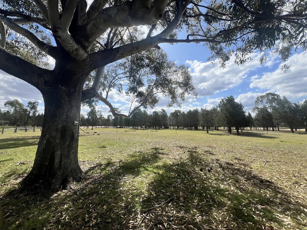 4185 Moonie Highway, DUCKLO QLD 4405, Ducklo - Thumbnail 3