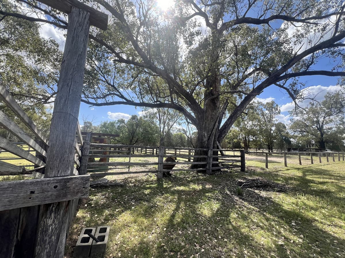 4185 Moonie Highway, DUCKLO QLD 4405, Ducklo - Thumbnail 4