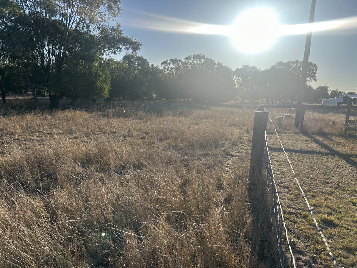 39 Kurrajong Drive, Dalby QLD 4405, Dalby - Thumbnail 3