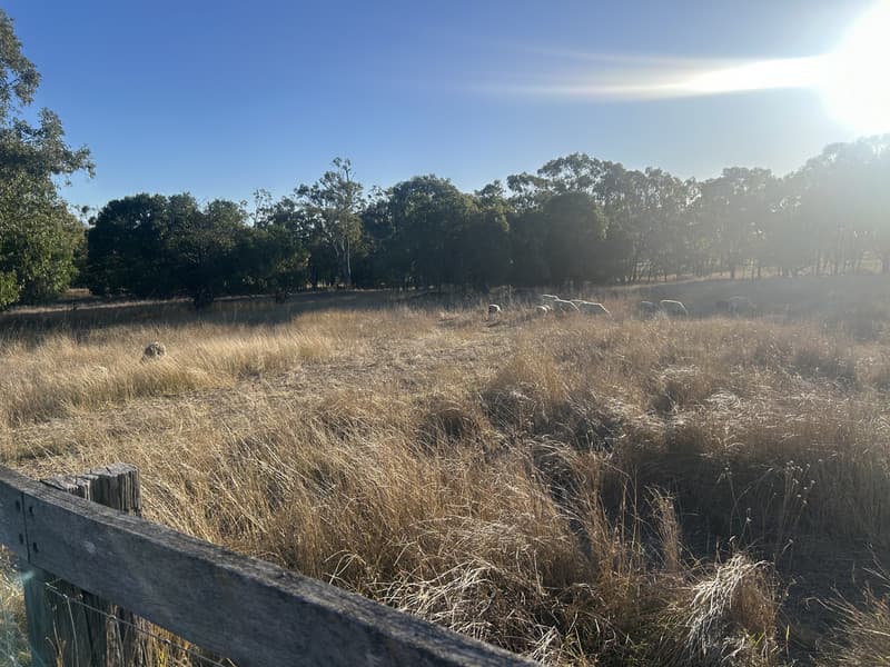 39 Kurrajong Drive, Dalby QLD 4405, Dalby - Thumbnail 6