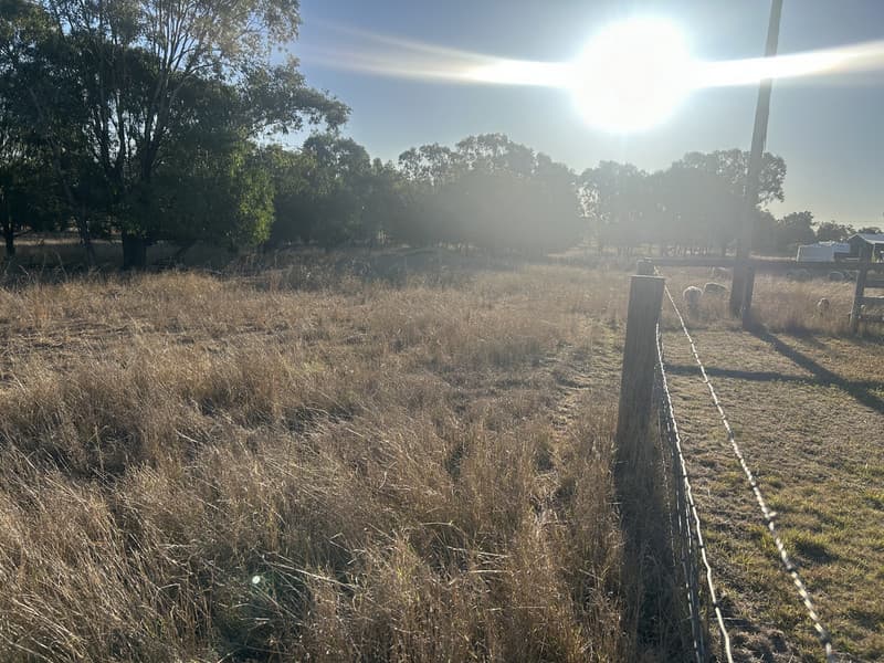 39 Kurrajong Drive, Dalby QLD 4405, Dalby - Thumbnail 8