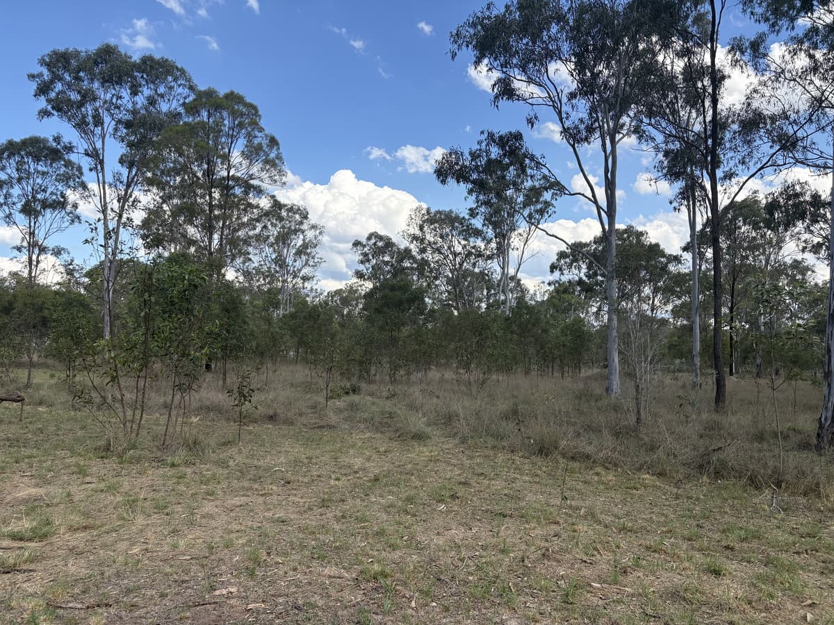 Lot 64 / 112 Carbeen Crescent, Nanango QLD 4615, Nanango - Thumbnail 7